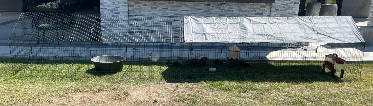 PawGiant Chicken Coop, 86