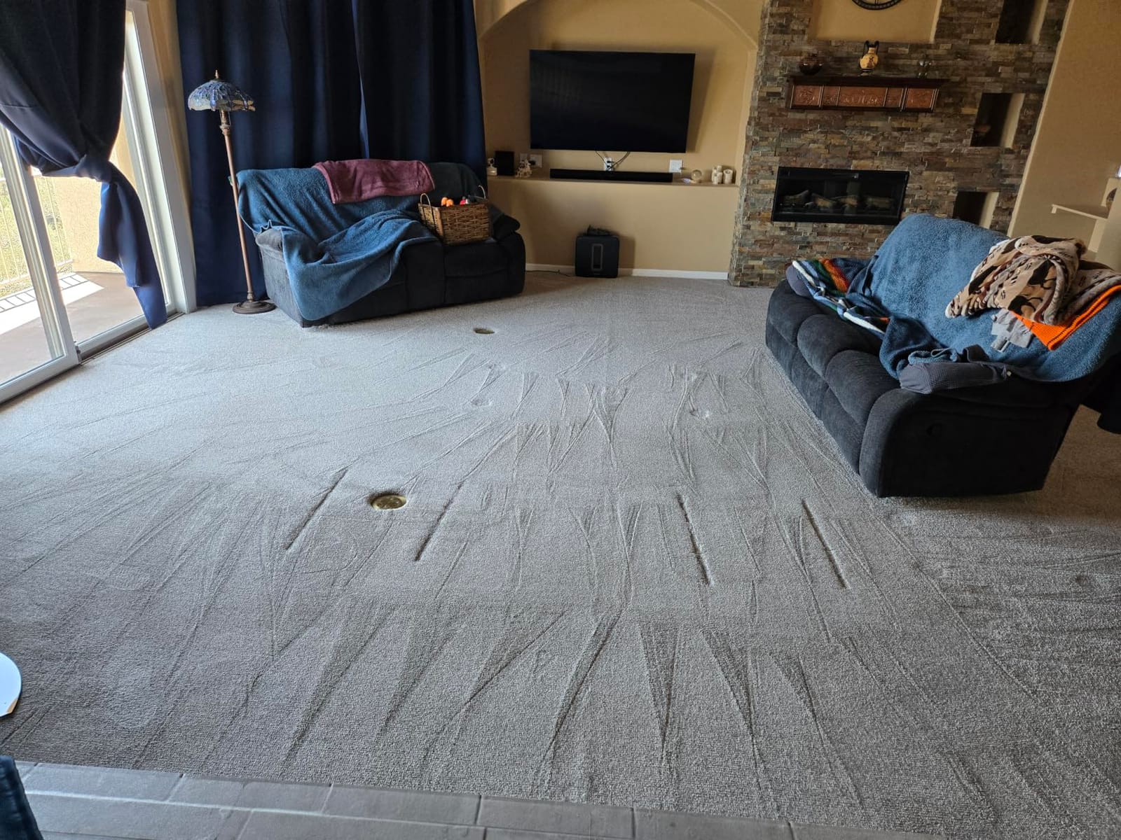 BISSELL ProHeat 2X Revolution Pet Pro Plus Carpet Cleaner, 3588F customer photo 1