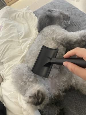 Firm Pet Grooming Kit: 25mm Extra Long Pin Brush for Goldendoodles, Wire Deshedding Brush, Removes Loose Hair & Undercoat (Pink) customer photo 1