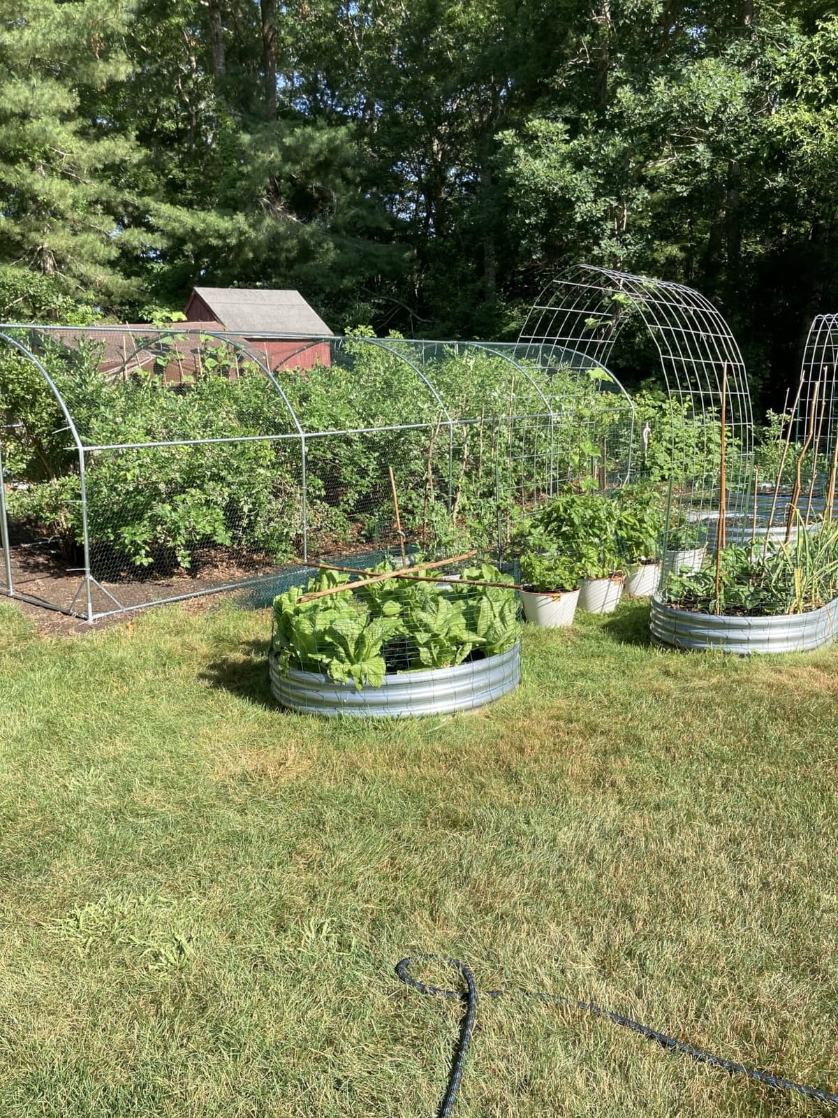 Large Metal Chicken Coop Round Top Upgrade Tri-Supporting Wire Mesh Chicken Run,Chicken Pen with Water-Resident and Anti-UV Cover,Duck Rabbit House Outdoor(19'L x 9'W x 6.5'H) customer photo 1