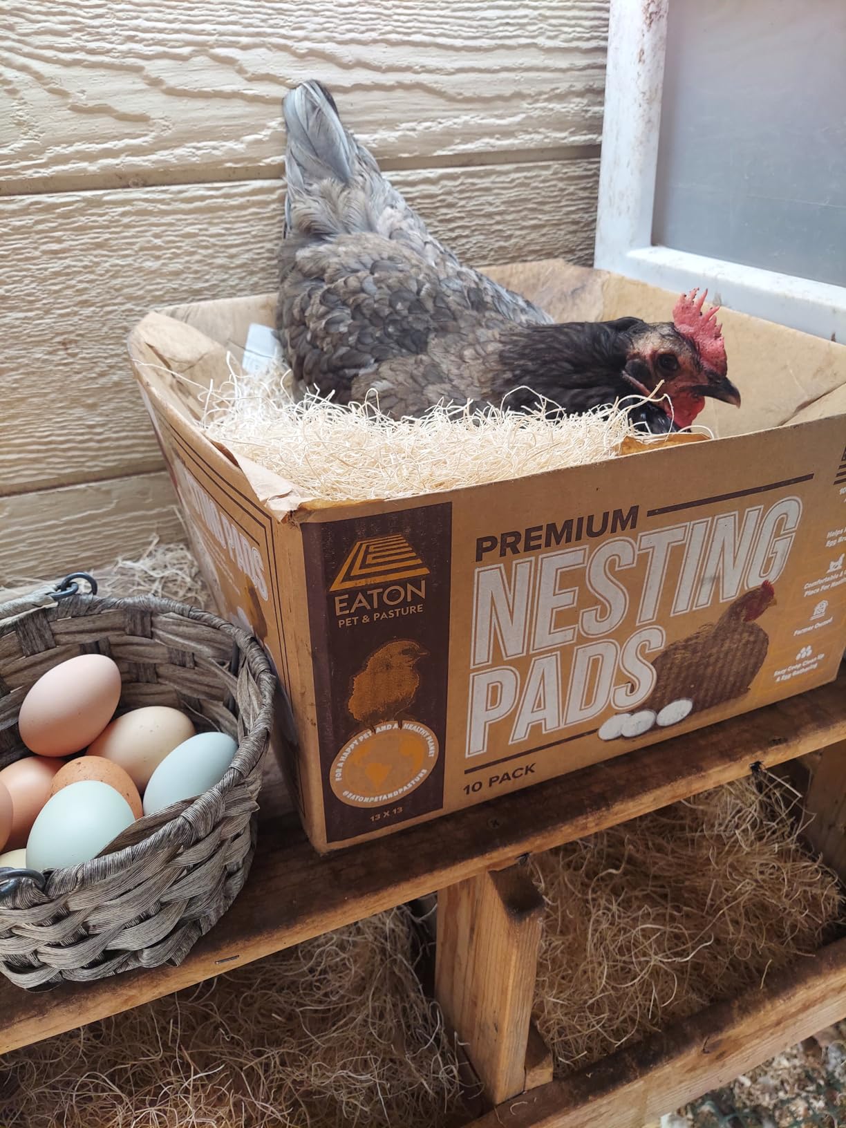 Eaton Pet and Pasture Nesting Pads for Laying Hens, 13 x 13 in, 10-Pack customer photo 2