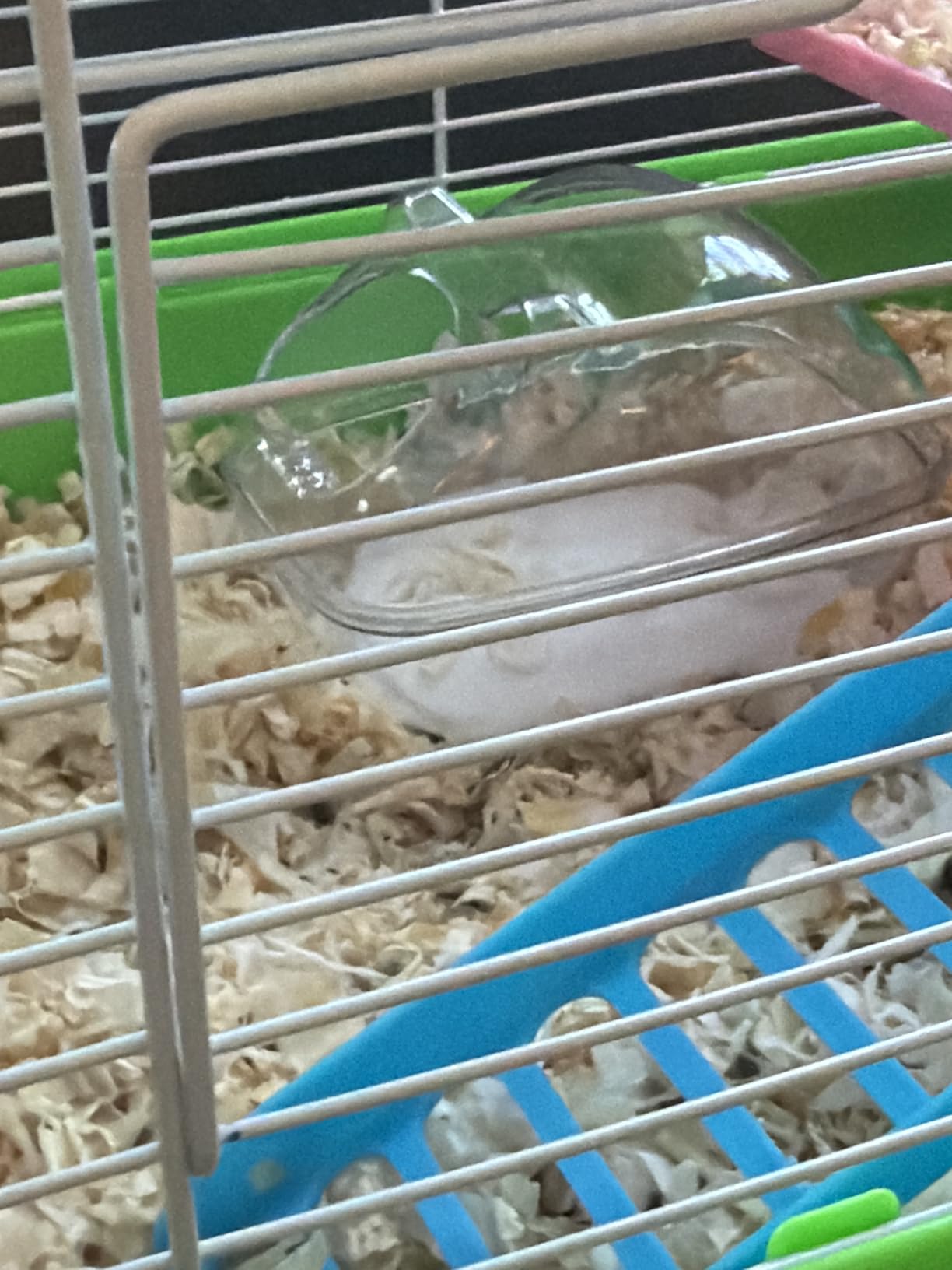 Hamster Sand Bath Container, Hamster Bathtub with Cleaning Scoop, Big Space, Easy to Clean, for Dwarf Hamster, Gerbil, Small Animals customer photo 2