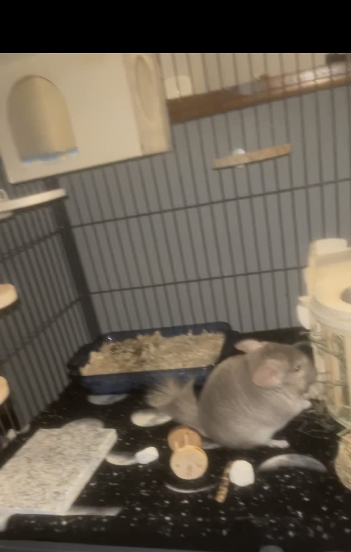 Mipcase Hamster Cooling Board Marble Stone Pet Cooling Plate 7.86X5.5 Inch Small Animal Habitat Decor for Chinchillas Rabbits and Hamsters customer photo 1