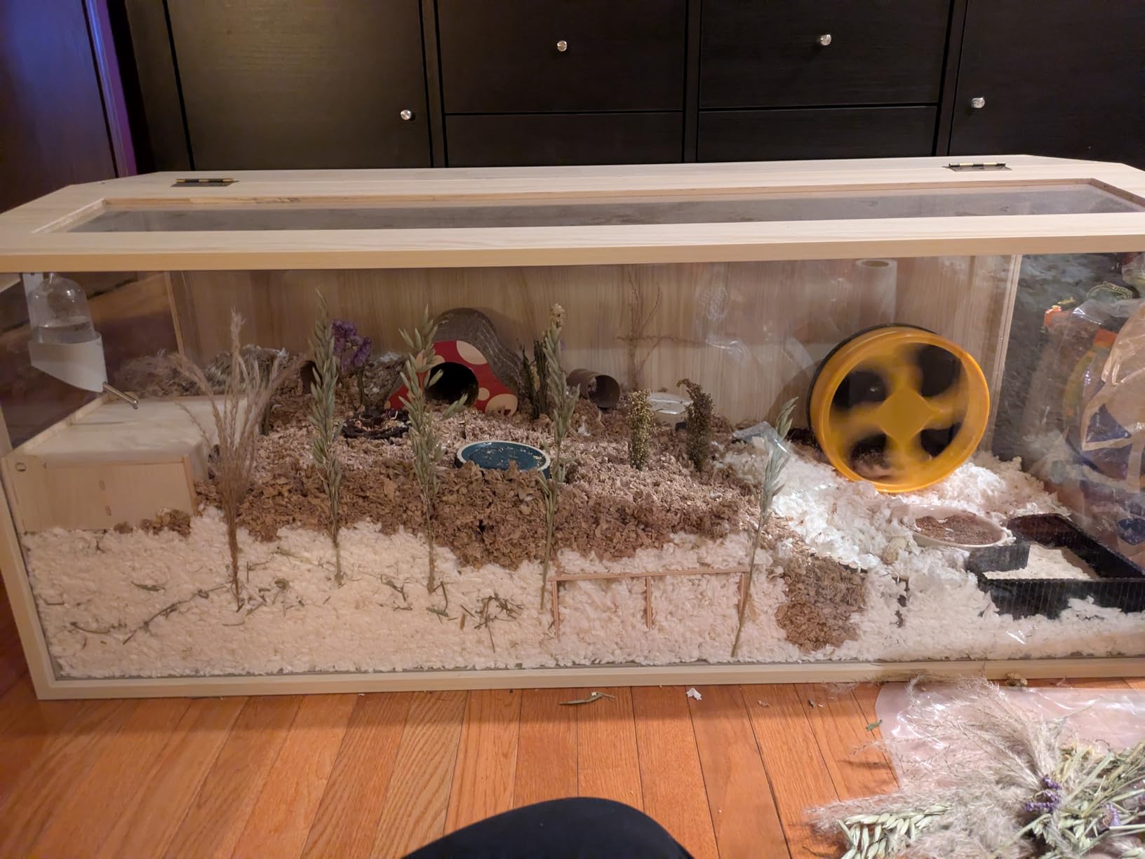 Prolee Hamster Cage Chewproof Wooden 24 Inch Guinea Pig Cages Mice and Rat Habitat Openable Top with Acrylic Sheets Solid Built customer photo 1