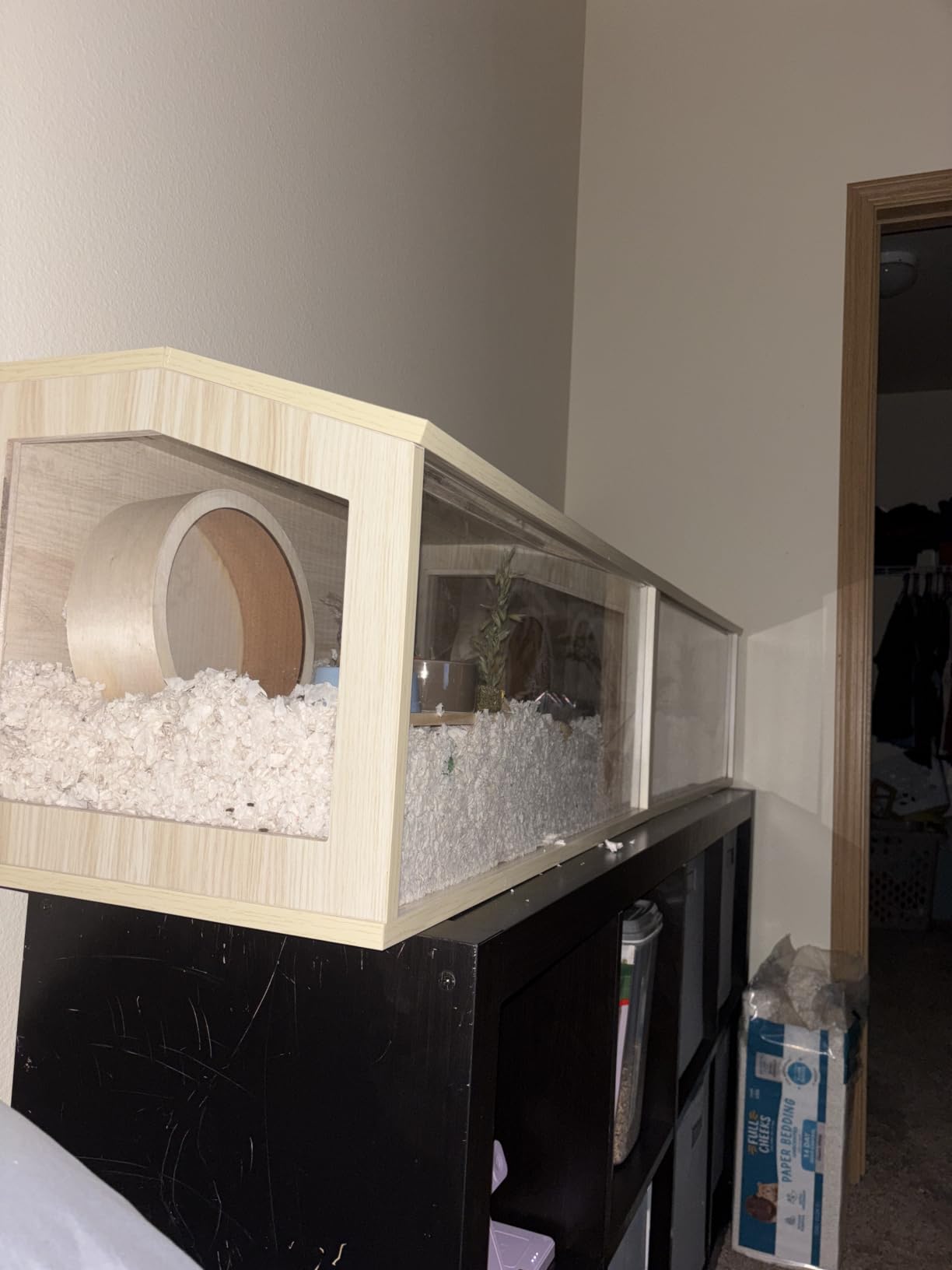 Prolee Hamster Cage Chewproof Wooden 24 Inch Guinea Pig Cages Mice and Rat Habitat Openable Top with Acrylic Sheets Solid Built customer photo 2