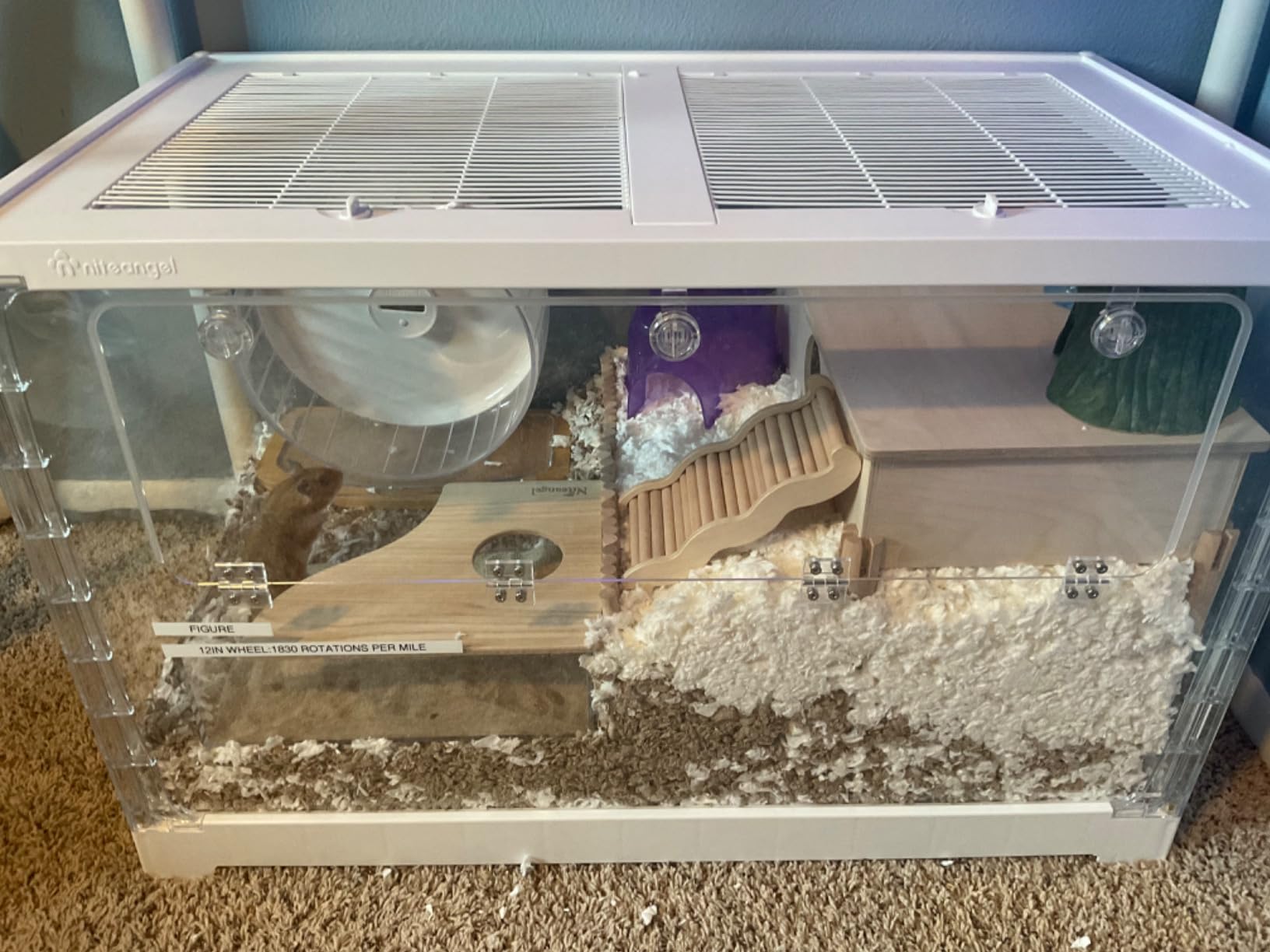 Niteangel Stacker Series Hamster Cage: Big View Front Acrylic Openable Door | Stackable Vertically or Horizontally to Expand Space & Large Glass Enclosure for Hamster Gerbils Mice Rat or Small-Sized Pets customer photo 2