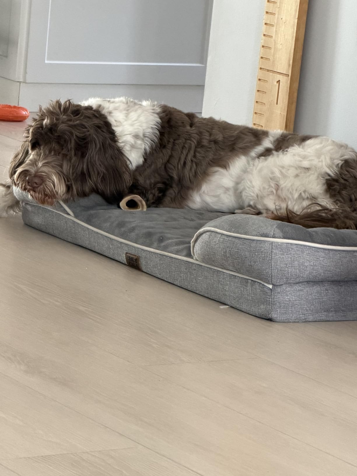 EHEYCIGA Orthopedic Dog Beds Large Sized Dog, Waterproof Memory Foam Pet Bed with Sides, Non-Slip Bottom Large Pet Bed with Washable Removable Cover, Grey | Non-Slip Bottom and Egg-Crate Memory Foam XL Dog Couch Bed with Washable Removable Cover, Grey customer photo 2