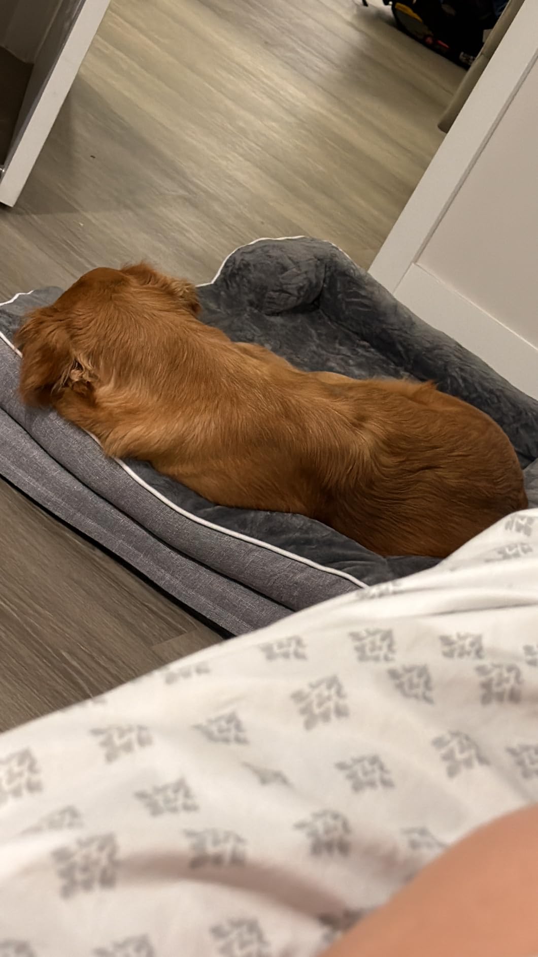 EHEYCIGA Orthopedic Extra Large Dog Bed, Waterproof Washable XL Pet Bed 44