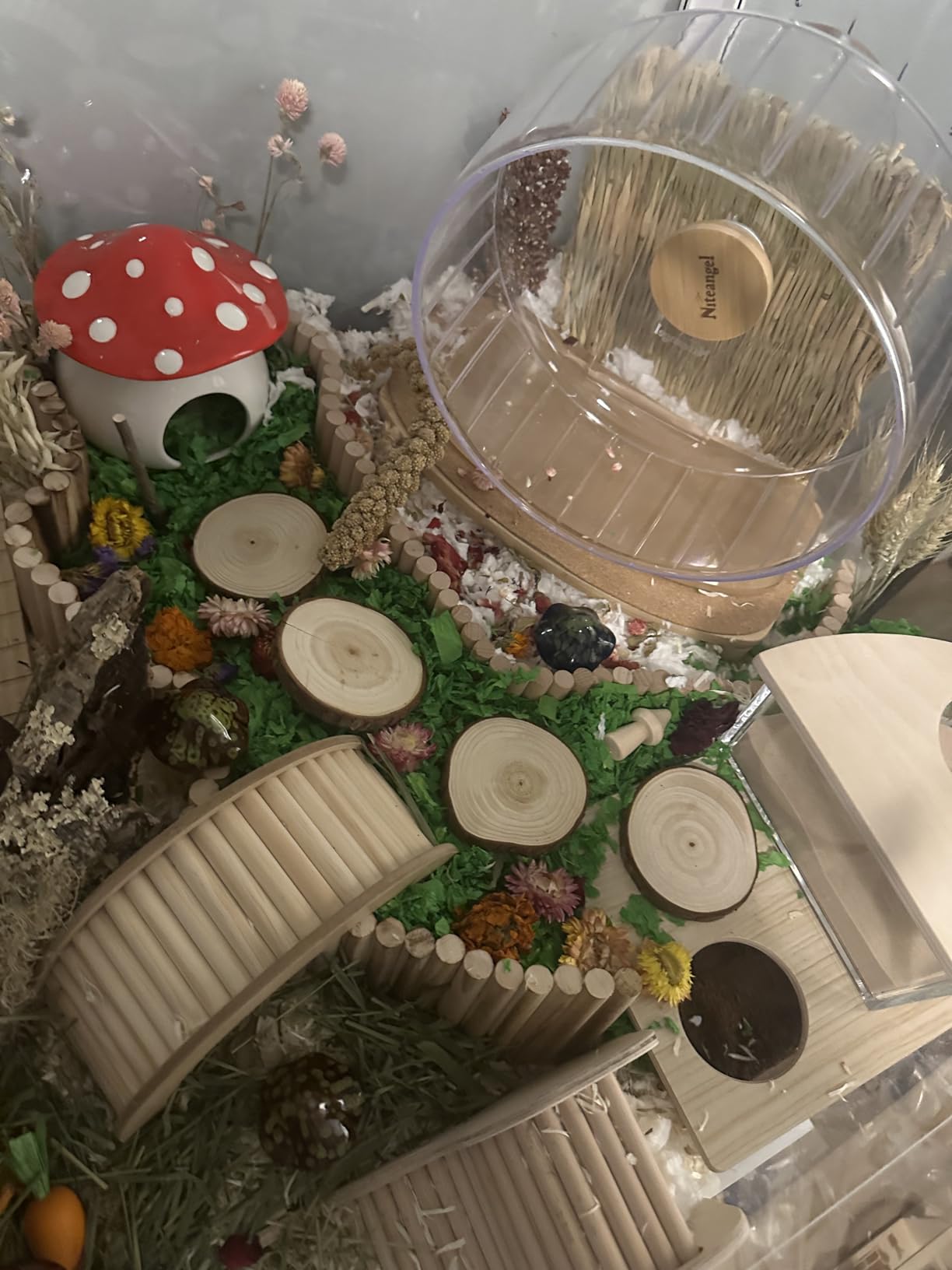 Niteangel Ceramic Hamster Habitat Hideout: Stone-Shaped & Non-Chewable - Cozy Hidey Spot & Easy to Clean customer photo 1