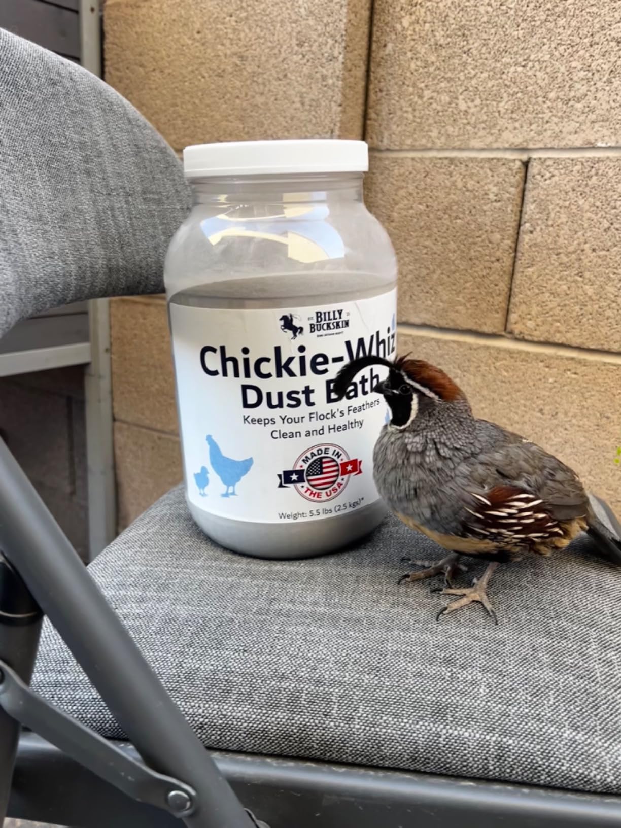 5.5lb Chickie-Whiz Chicken Dust Bath - Made in USA - All Natural Volcanic Ash Dust Bath for Chickens - Healthier Eggs & Feathers - Chicken Coop Accessories for Farms by Billy Buckskin Co. customer photo 2
