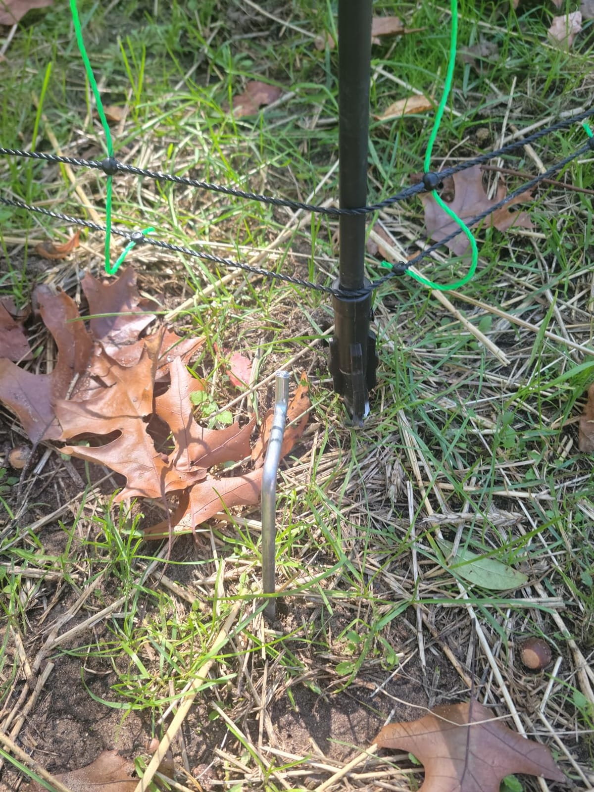 Electric Fence Netting, 49.6