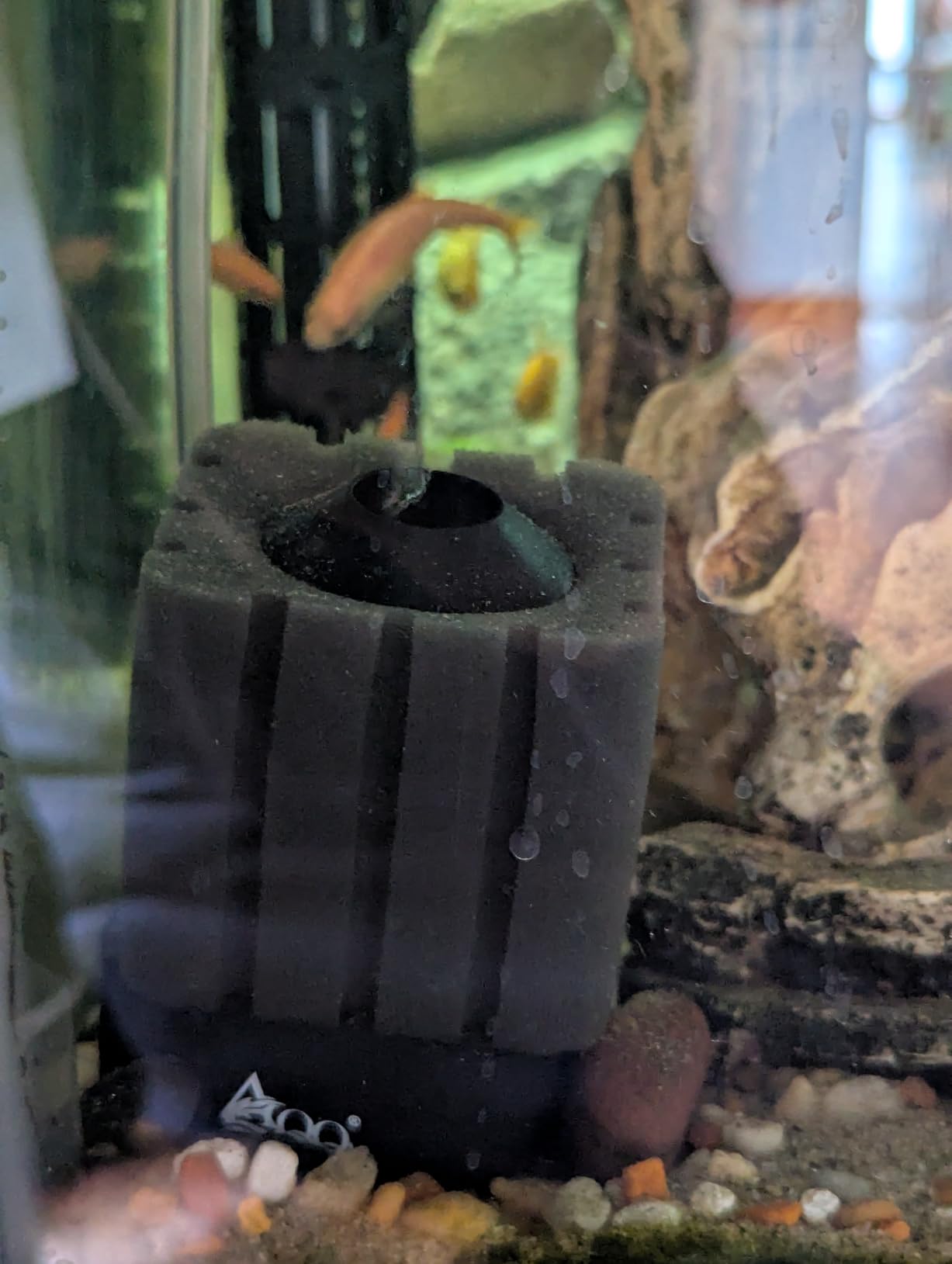 AQQA Aquarium Sponge Filter Submersible Fish Tank Filter Ultra Quiet Aeration Bio Sponge Corner Filter for Breeding Fry Betta Shrimp Fish Tank (Small for 5-20 Gallon) customer photo 1