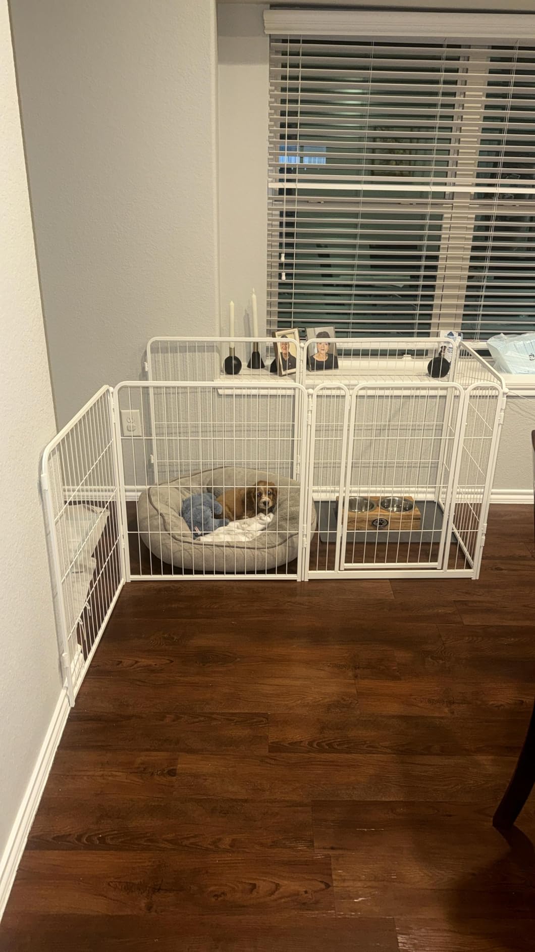 FXW Homeplus Indoor Dog Playpen, 32