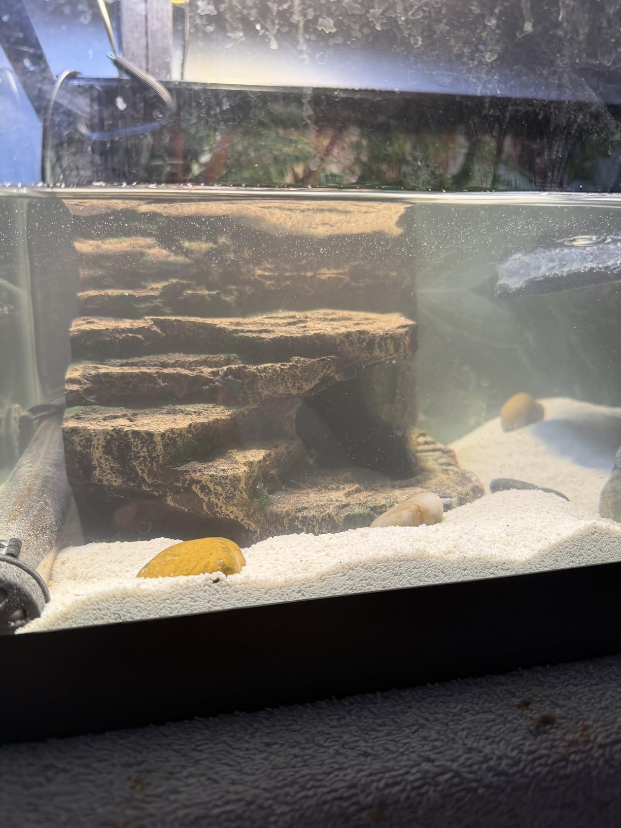 JIHAQUA Terrarium Decor Reptile Hide Reptile Hides and Caves, Medium | Aquarium Tank Accessories Decorations customer photo 1