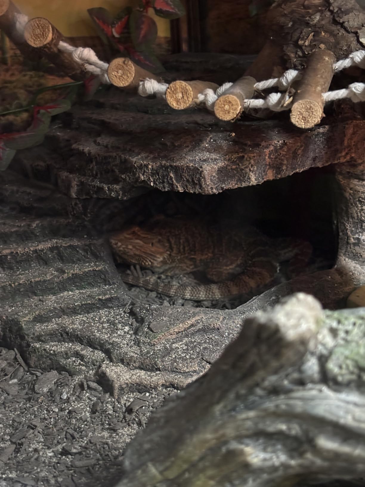 JIHAQUA Terrarium Decor Reptile Hide Reptile Hides and Caves, Medium | Aquarium Tank Accessories Decorations customer photo 2