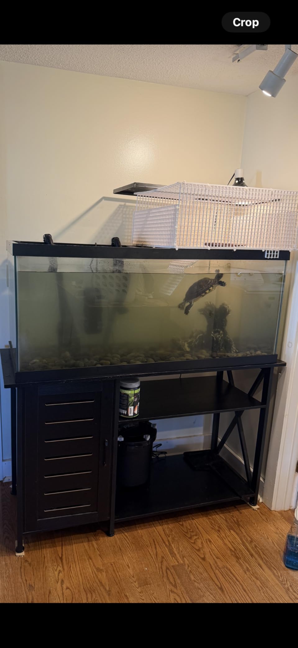 Fluval FX2 High Performance Canister Aquarium Filter - Multi-Stage Filtration, Built-in Powered Water Change System, and Basket-in-Basket Tray Design customer photo 2