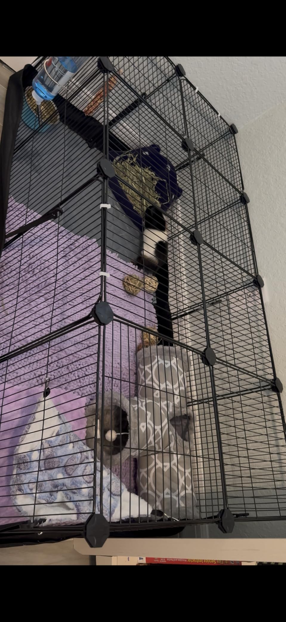 SONGMICS Pet Playpen with Floor, Small Animal Playpen customer photo 2
