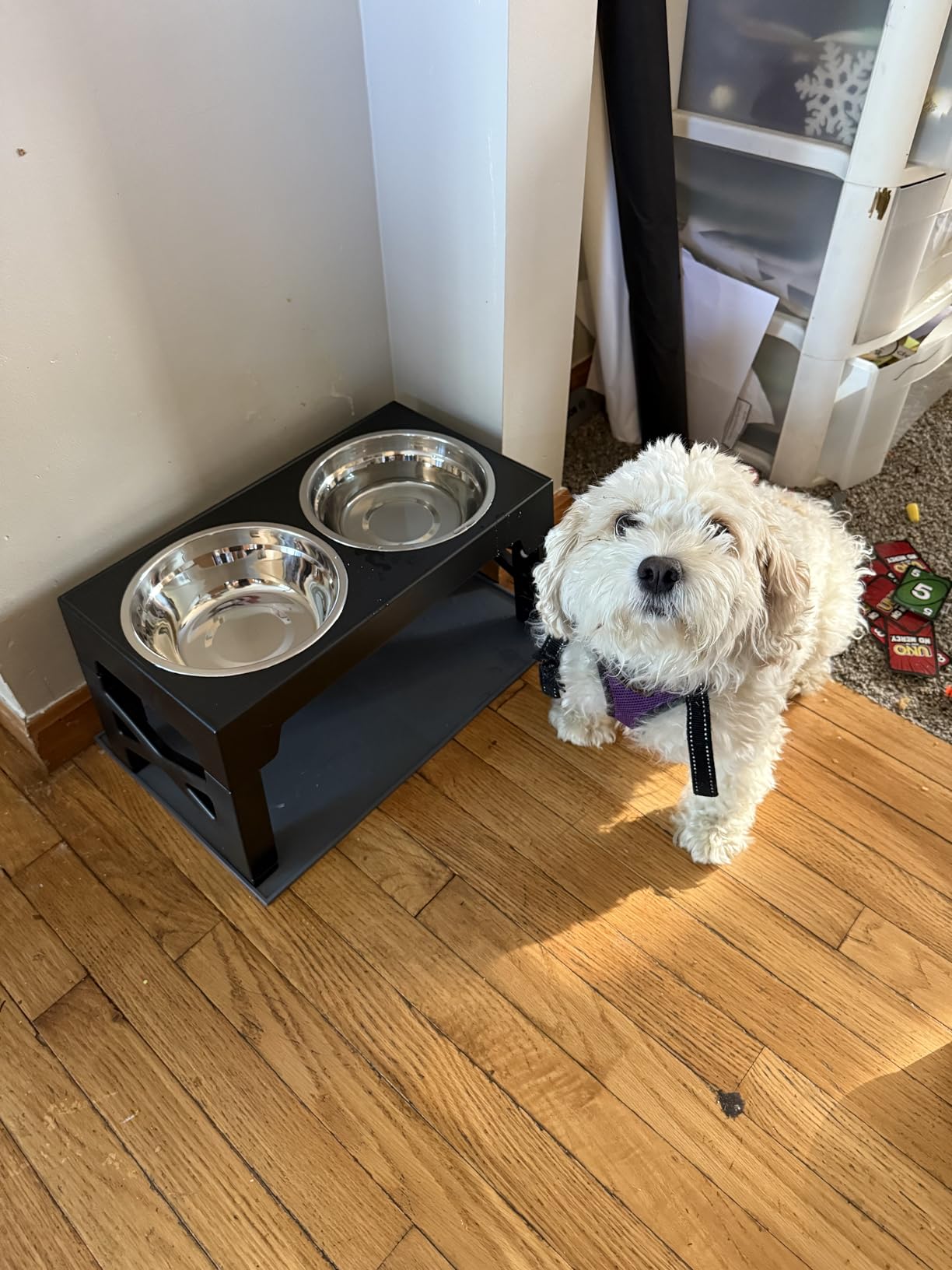 Niubya Elevated Dog Bowls with 2 Stainless Steel Dog Food Bowls, Raised Dog Bowl Adjusts to 5 Heights (3.15