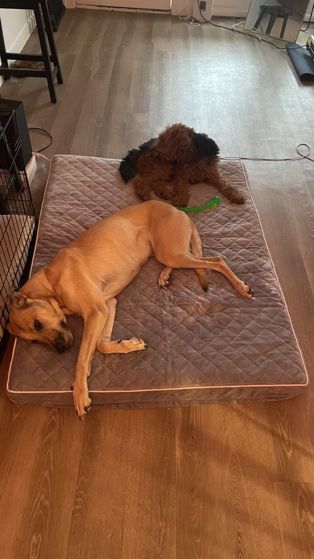 WNPETHOME Orthopedic Waterproof Extra Large Senior Dogs Bed for Comfy Sleep | XL Washable Ped Bed with Removable Cover, Multi-Needle Quilting XL Crate Bed for Large Sized Dog Relax, Light Grey 42x30 Inch customer photo 1