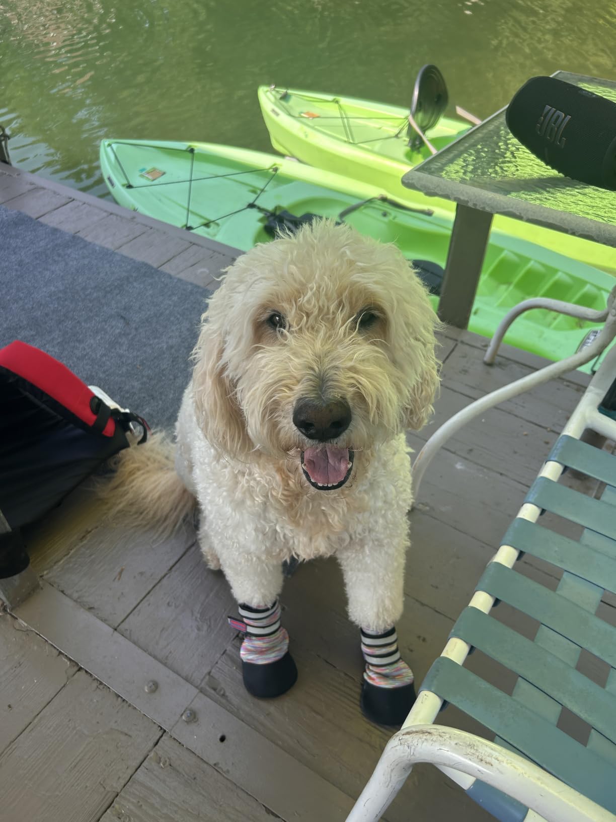 All Weather Neoprene Paw Protector Dog Boots with Reflective Straps in 5 Sizes! (Turquoise Small) customer photo 2