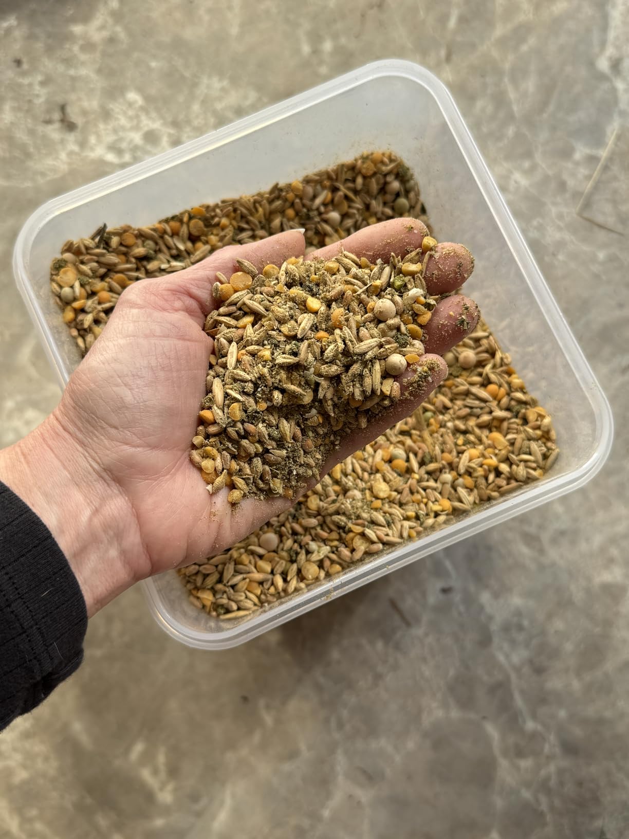 New Country Organics Pastured Perfect Layer Feed for Laying Hens | Corn-Free and Soy-Free | 17% Protein | Certified Organic and Non-GMO | 40 lbs customer photo 2