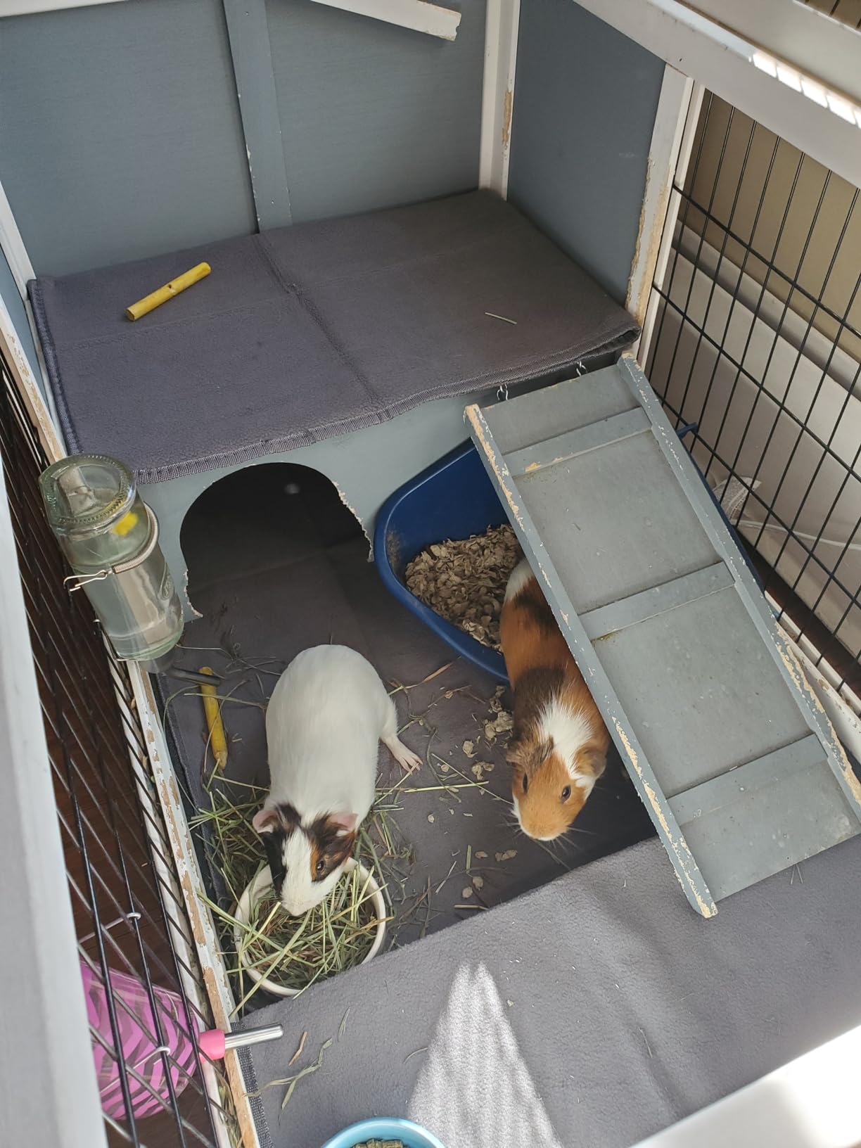 Guinea Pig Bedding, Cage Liners, Washable, Reusable & Leakproof | Premium Fleece Material, Instant Absorbent, Anti-Slip Bottom, Ideal Pee Pads for Small Animals customer photo 2