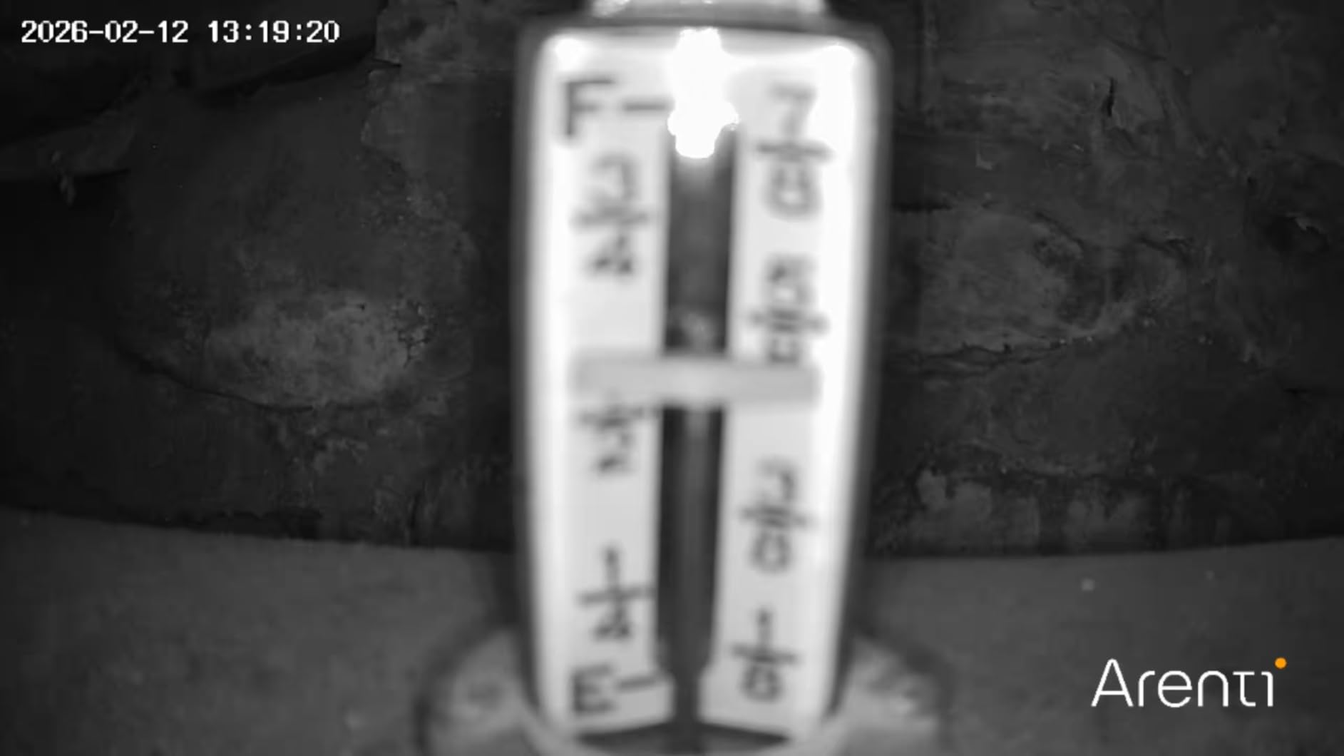 ARENTI 4MP Pet Camera P2Q, 5G WiFi 6 Indoor Security Camera, Free Phone App | Pan/Tilt, Auto Tracking, AI Human/Motion/Sound Detection, Night Vision, 2-Way Audio, Custom Zones, Timer Cruise, Sleep Mode customer photo 1