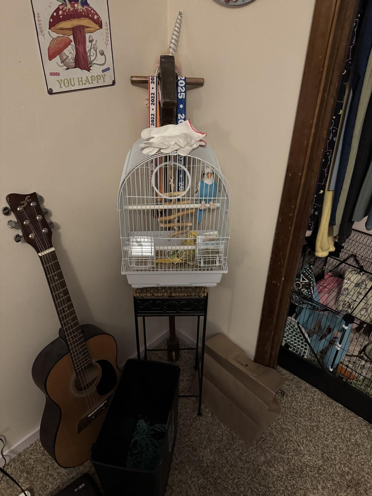 Small Bird Cage, Starter Kit with 2 Feeding Cups, Perch and Removable Tray | Lightweight with handle and hooks for travel, outings and vet visits with parakeets, canaries, lovebirds and finches. customer photo 1