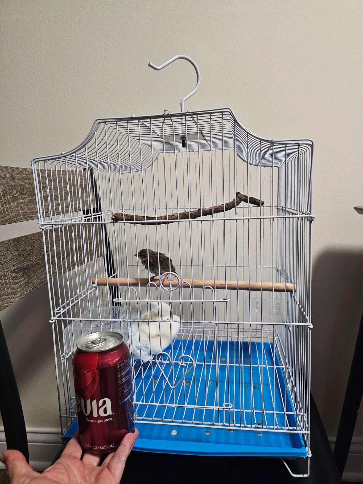 Small Bird Cage, Starter Kit with 2 Feeding Cups, Perch and Removable Tray | Lightweight with handle and hooks for travel, outings and vet visits with parakeets, canaries, lovebirds and finches. customer photo 2