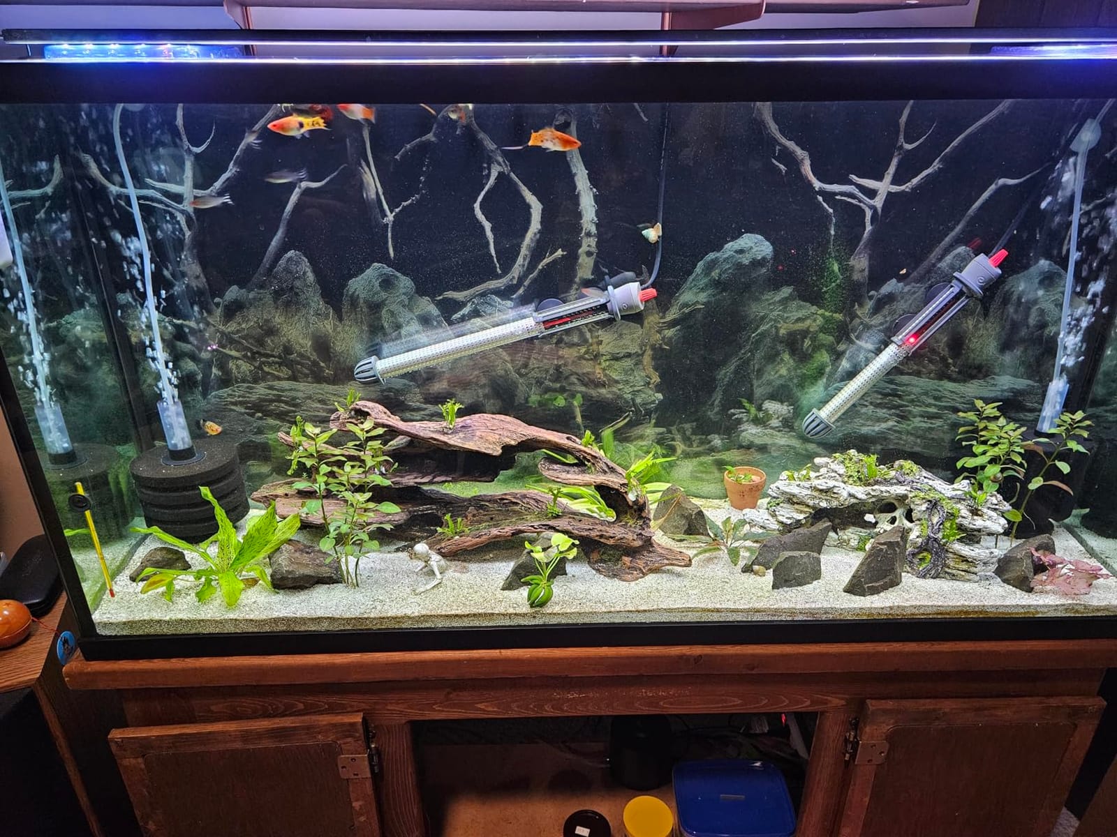 NICREW C10 Plants LED Aquarium Light, 12-18 in, 9 Watts, Full Spectrum Fish Tank Light with Timer, Day and Night Cycle, Brightness Adjustable customer photo 2