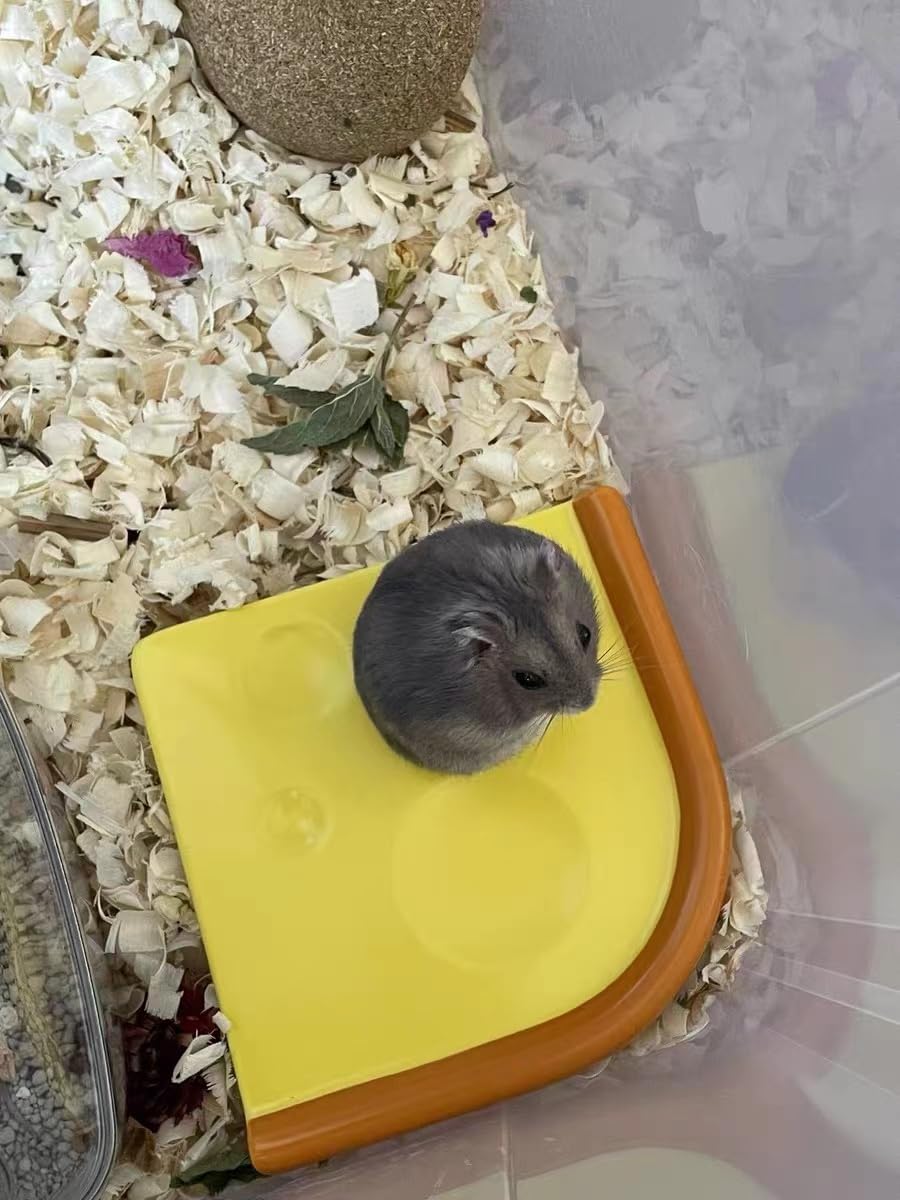 Ceramic Hamster Bedding,Rabbit Cooling Pad/Summer Heat Dissipation Plate,Pet Cooling Mat for Rabbits/Guinea Pig/Dwarf Hamster/Gerbil/Chinchilla/Bunny and Other Small Animals customer photo 2