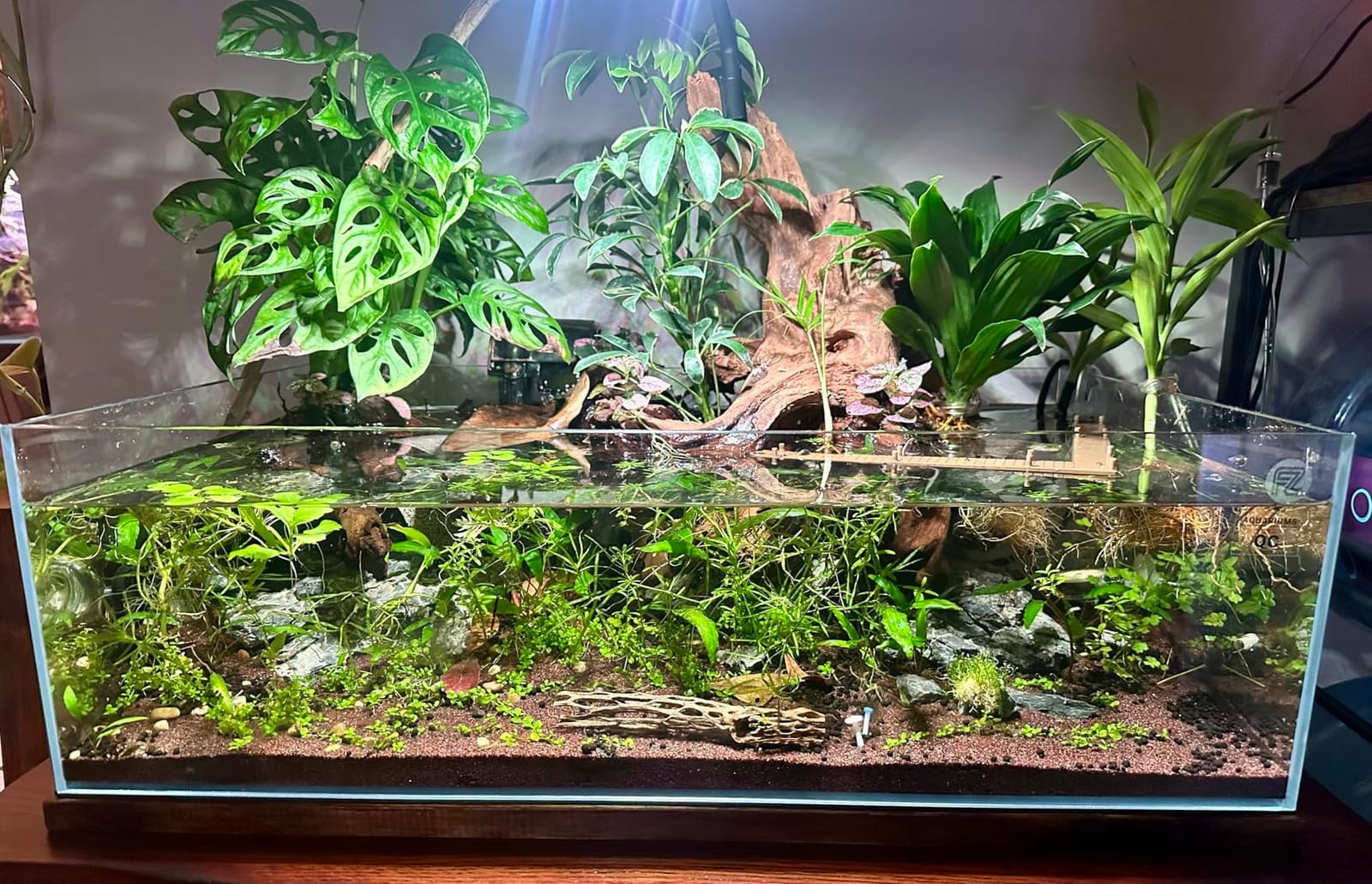 Fzone 6.4 Gal Shallow Rimless Low Iron Fish Tank Nova Clear Ultra-White 45° Mitered Edges Translucent Glass Anata Series Aquarium w/Black Foam Leveling Mat customer photo 2