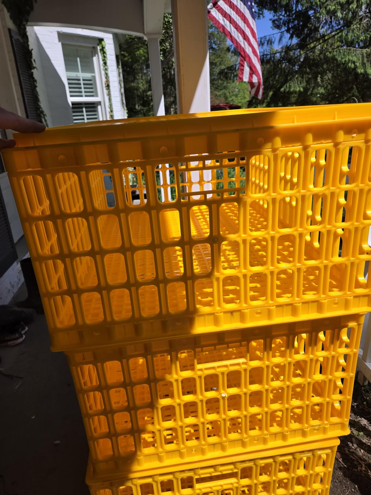 Sintuff Poultry Carrier Crate Plastic Chicken Transport Cage Bird Carriers Chickens Carrier Travel Crate Basket Box for Poultry Chicken Bird Duck Goose, 29.5 x 21.7 x 11.6 Inch (2 Pcs) customer photo 1