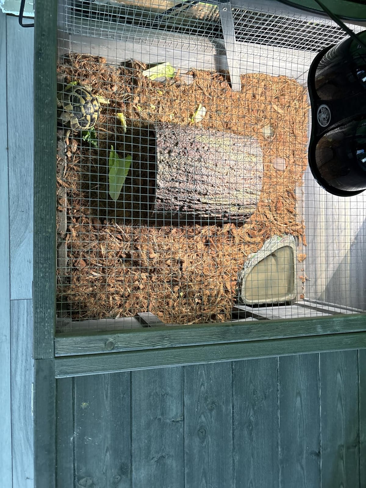 MoNiBloom Wooden Tortoise Habitat House Indoor/Outdoor Enclosure, Home Small Animal Breeding Box Amphibians Enclosure Cage Reptile for Gecko Lizard Snake 37 x 25.5 12 in, Grey customer photo 1