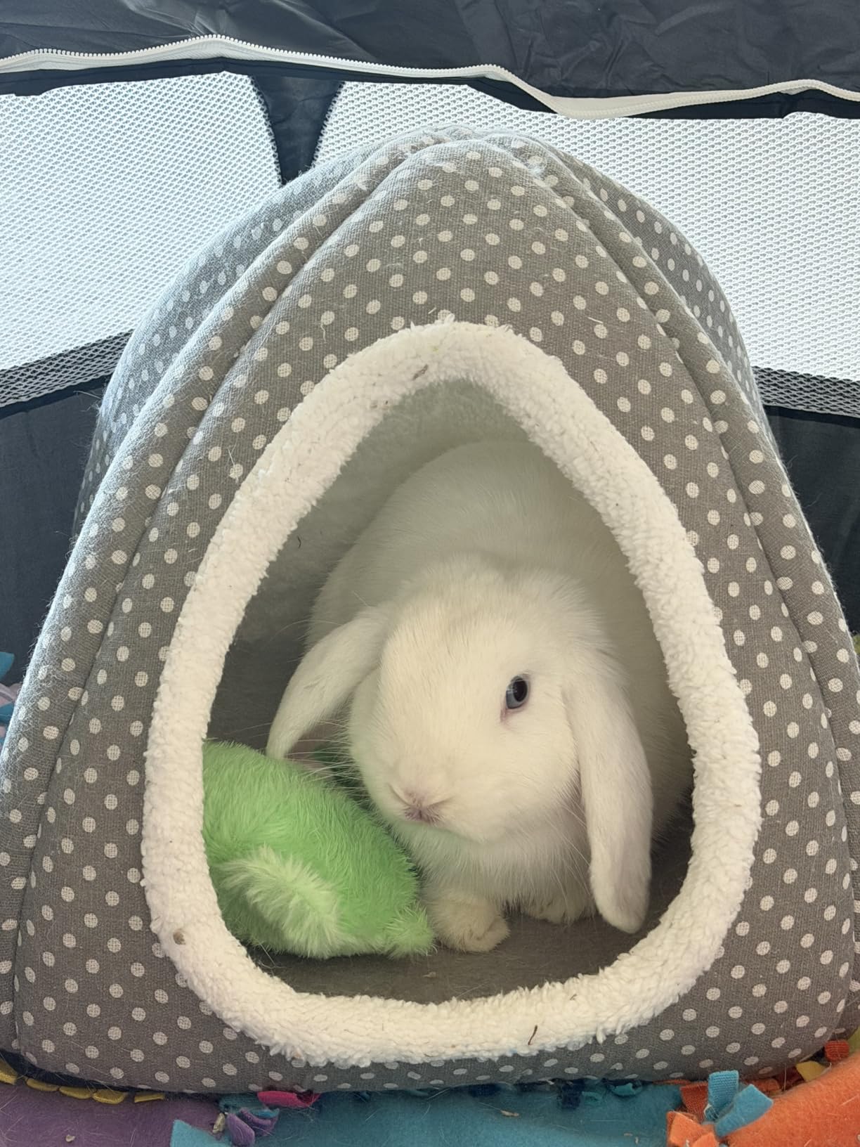 Rabbit Hideout Large Bunny Bed Washable Rabbit House | Fleece Hiding Hut for Indoor Bunnies Guinea Pigs customer photo 2