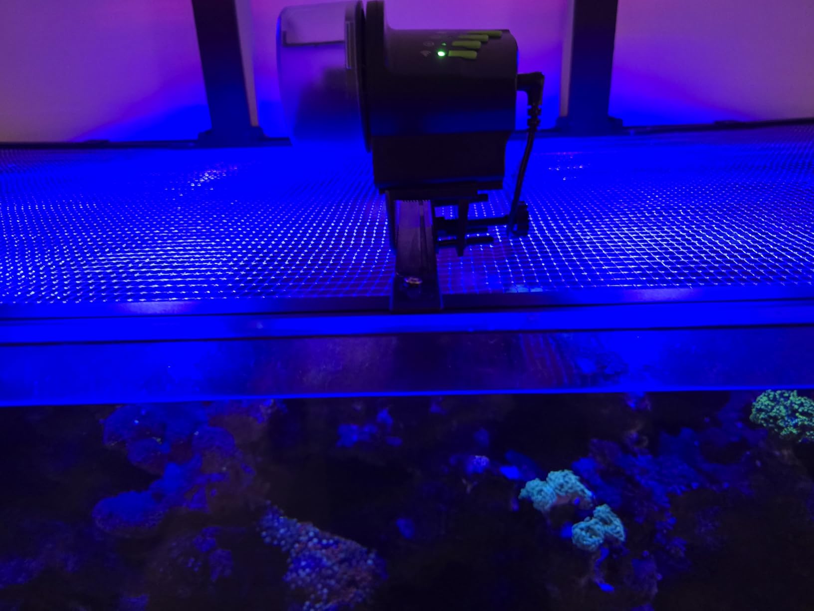 DXOPHIEX WiFi Fish Feeder Automatic Fish Feeder Automatic Dispenser Vacation for Aquarium and Turtle Tank with Feeding Ring customer photo 2