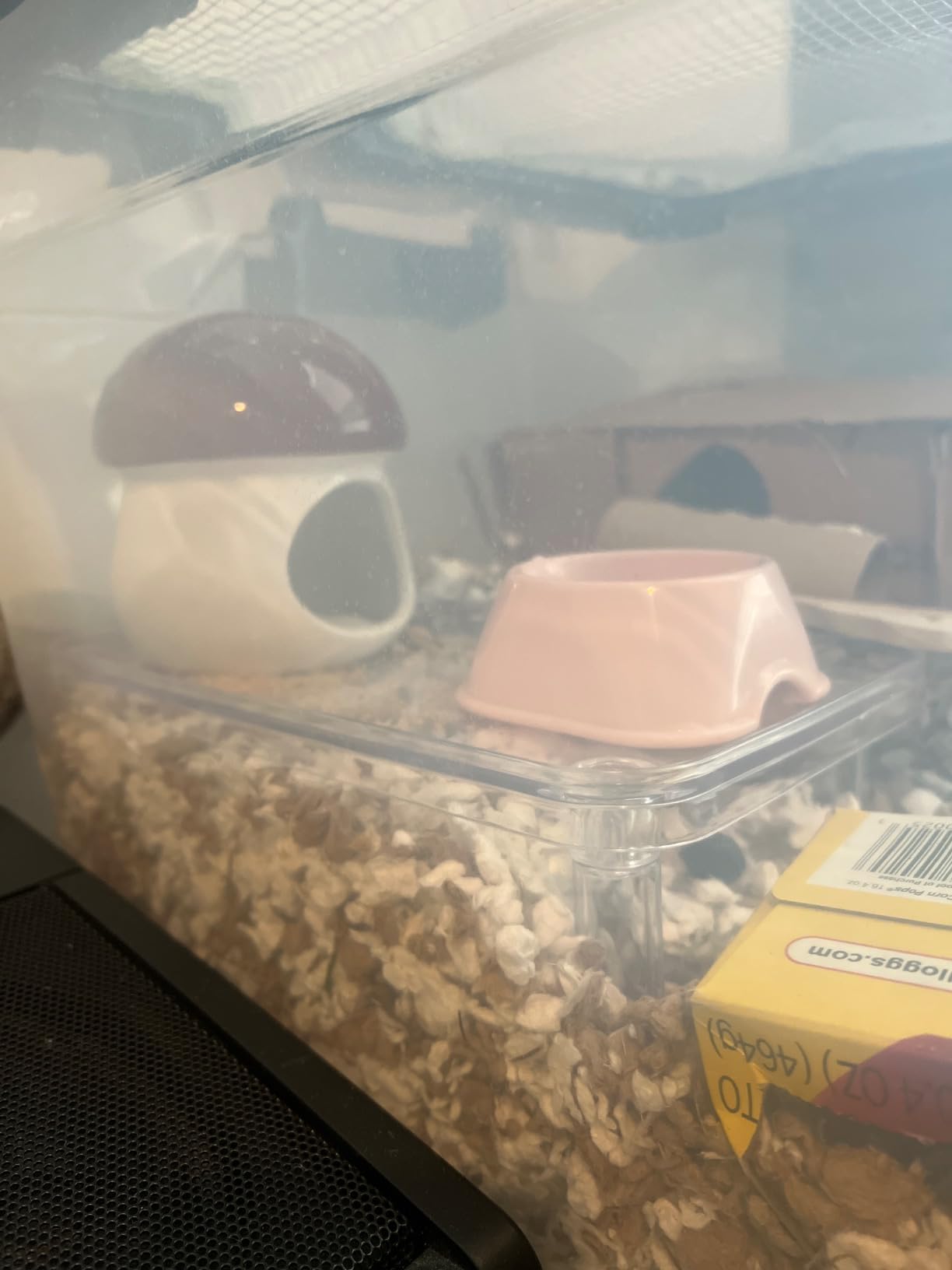 Ripeng 2 Sets Hamster Platform Cage Accessories Small Pets Plastic Transparent Play Stand for Gerbils Dwarf Syrian Hamsters Mice Chinchilla Parrot Bird Small Animals customer photo 1