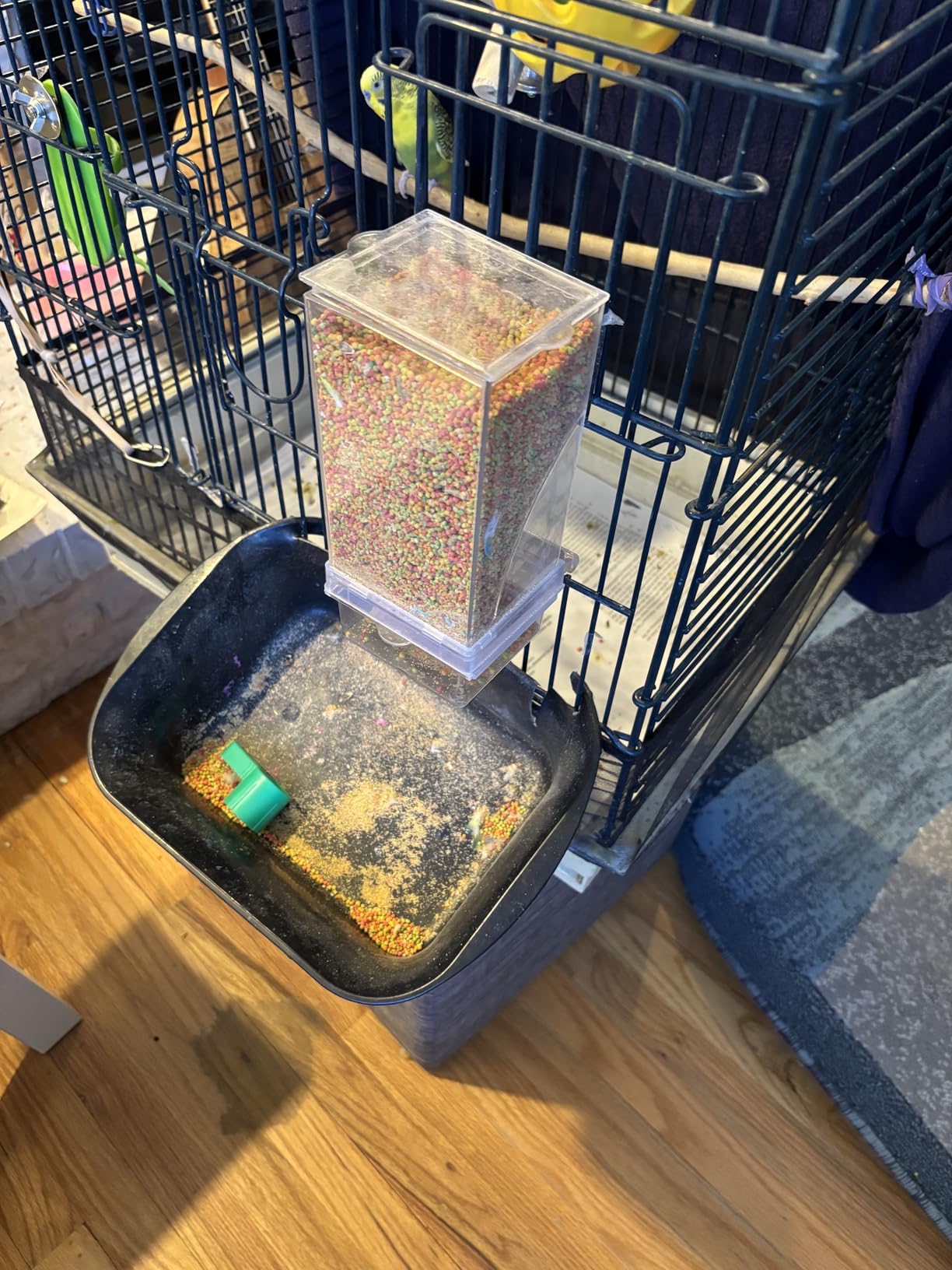 Kenond No Mess Bird Feeders Water Dispenser Set, Automatic Feeders for Cage | Automatic Parrot Feeder Cage Accessories, Clear Seed Container Food Drinker for Cockatiel Lovebirds Budgies Canary customer photo 1