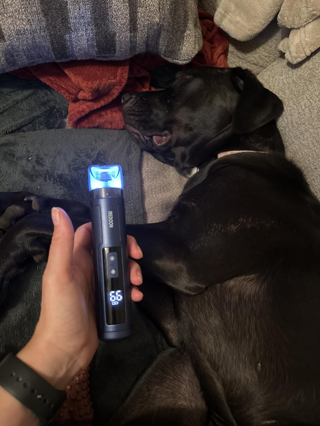 IREDOON Dog Nail Grinder with 4 LED Lights, 3 Speeds Super Quiet for Pets customer photo 2