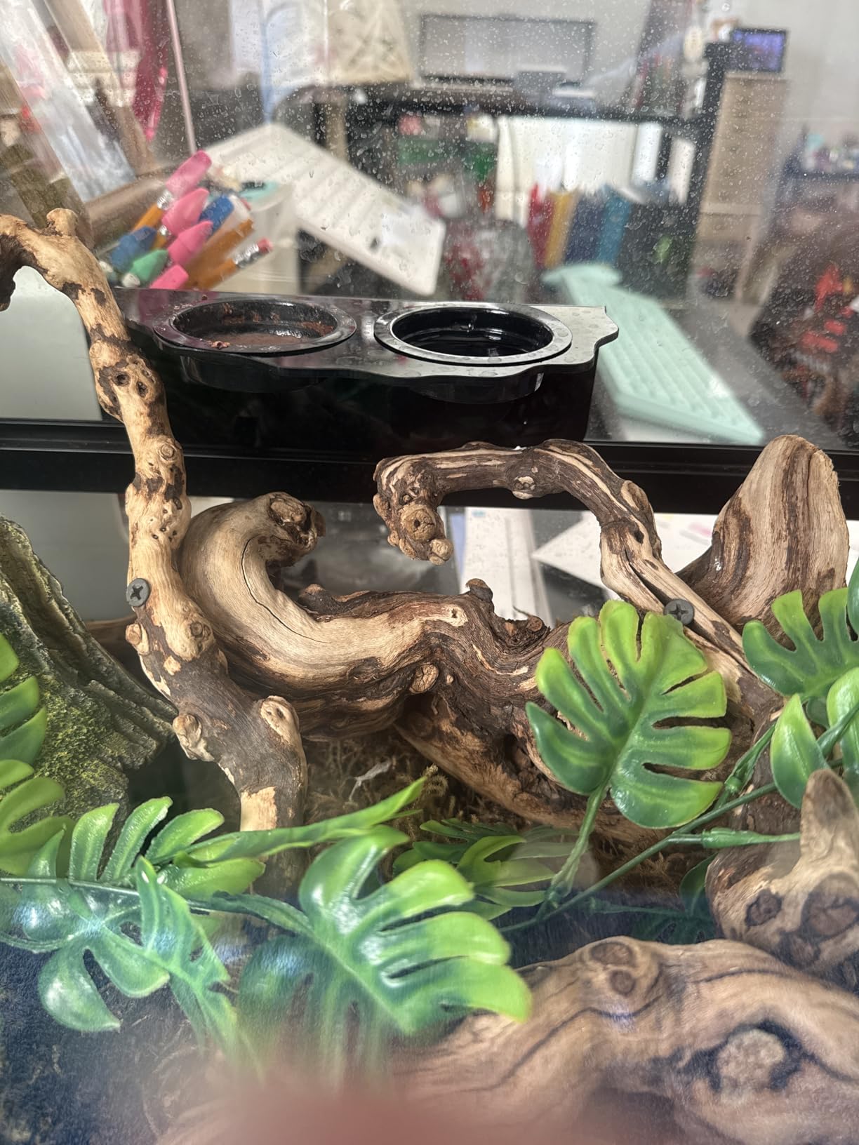 REPTI ZOO Magnetic Gecko Feeding Ledge, Acrylic Arboreal Feeding Ledge with 6PCS Cups, Strong Magnetic Reptile Ledge Gecko Food Ledge customer photo 2