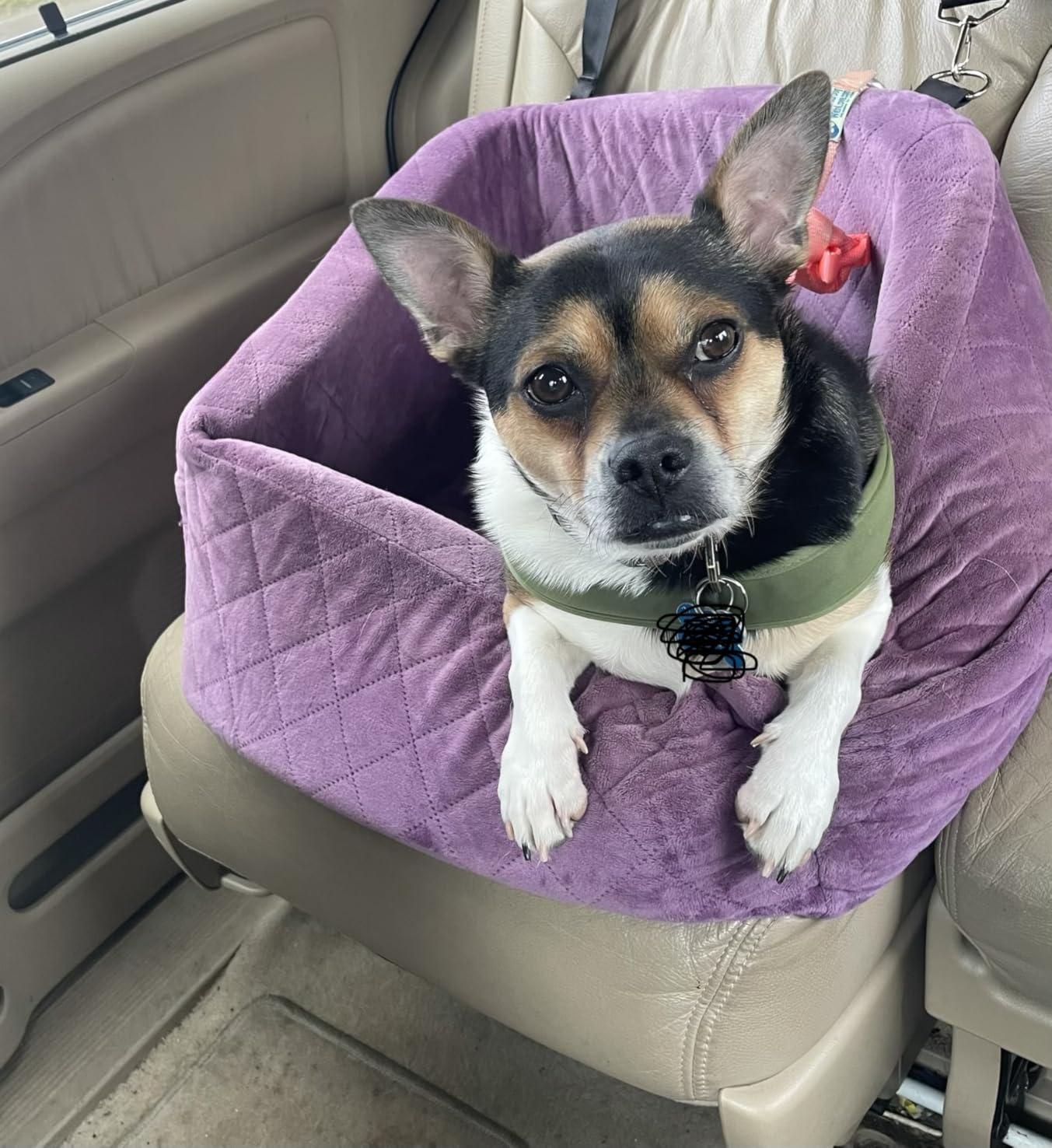 NEEZUKAR Dog Car Seat for Small Dogs,Detachable Washable Dog Booster Seat Under 30lbs, Pet Car Seat Travel Bed with Storage Pockets and Dog Safety Belt (Black/Grey) customer photo 1