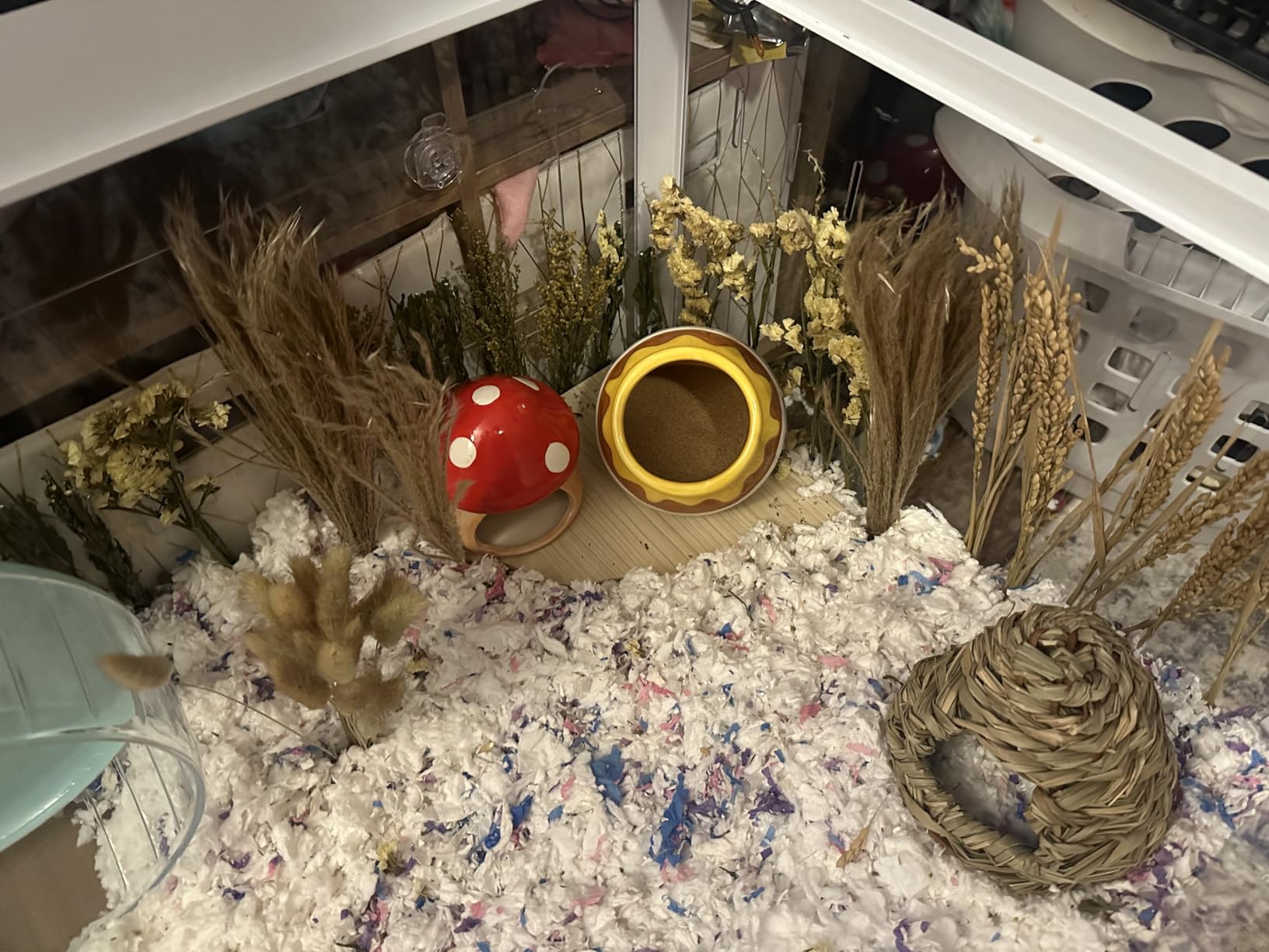 Hamster Sand Bath Container Small Animals Shower and Digging Bathroom Toilet, Ceramics Honey Pot Bathtub for Dwarf Hamster, Syrian Hamster, Gerbils, Hedgehogs, Mice, Rats, Lemming customer photo 2