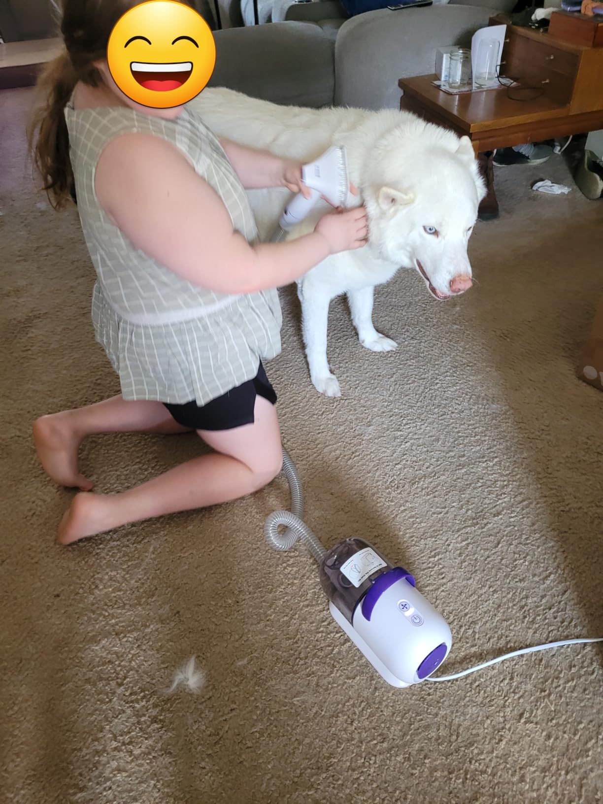 oneisall Dog Hair Vacuum Shedding Grooming Brush Kits for Pet Thick Coats | 15000Pa,3 Suction Low Noise,1.5L Dust Cup,5 in 1 Kits(Grooming/Deshedding/Cleaning Brush,Remover Roller,Crevice Tool), LM5 customer photo 1
