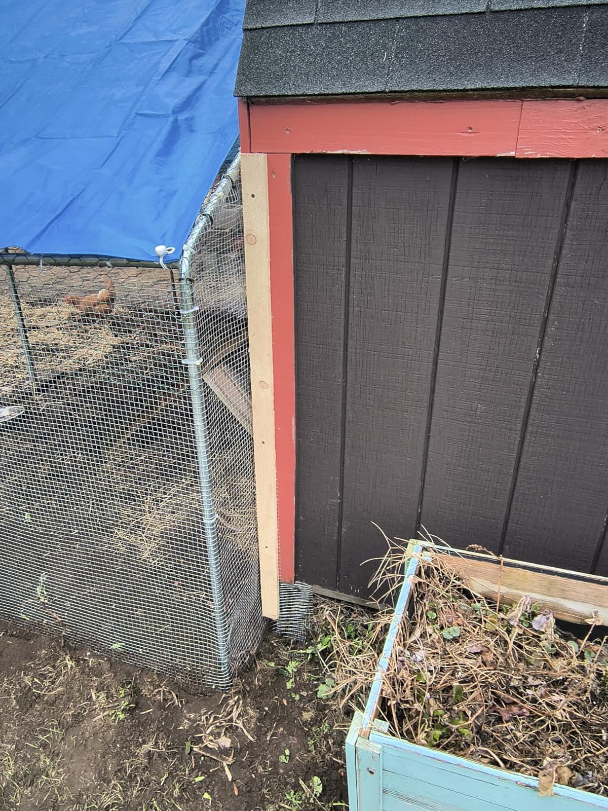 Sino Luban Large Metal Chicken Coop Run for 10 Chickens/Ducks, Chicken Runs for Yard with Waterproof Cover, Chicken Enclosure Chicken Pen Outdoor, Walk-in Poultry Cage customer photo 1