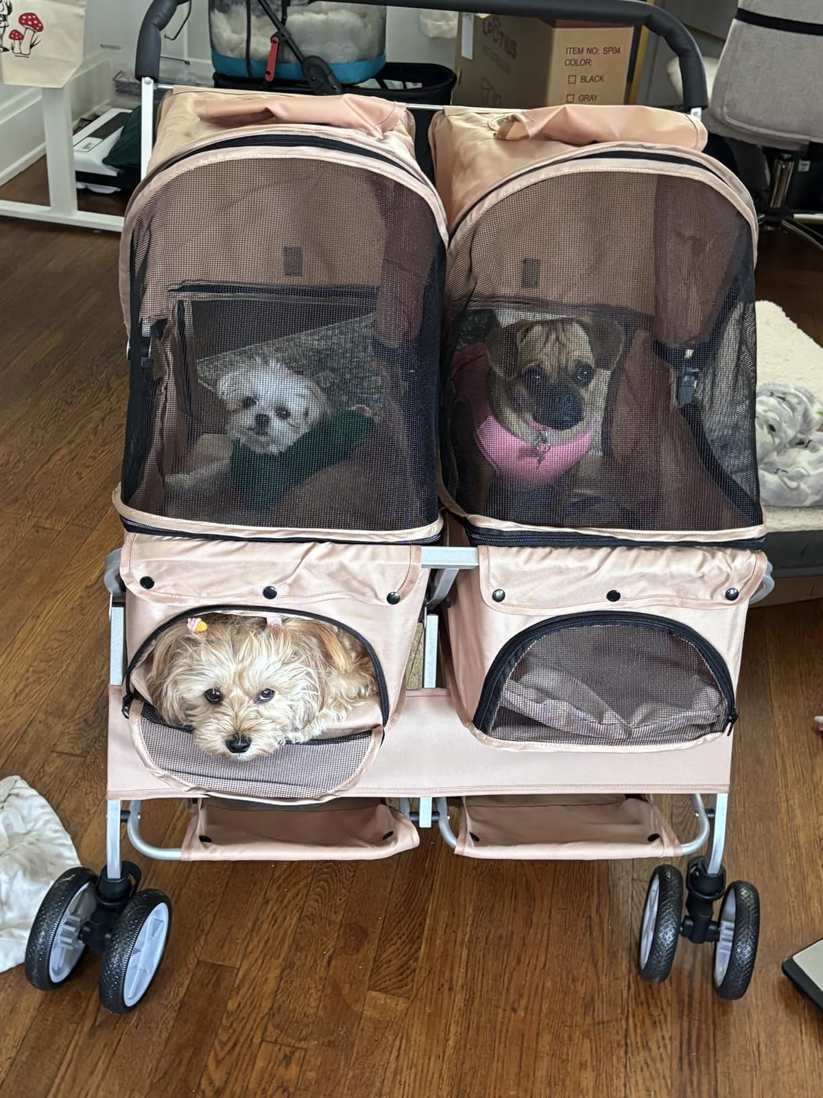 Double Pet Stroller for 2 Dogs & Cats, Side-by-Side, Gray customer photo 1