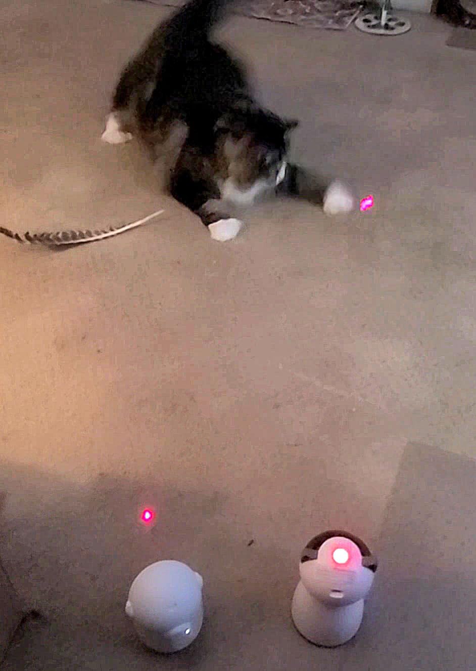 YVE LIFE Interactive Cat Toys Laser for Indoor Cats,Automatic Kitten Toys | 4th Gen Motion Activated Real Random Trajectory Laser Pointer Cat Toy, USB Rechargeable Cat Enrichment Toys customer photo 1
