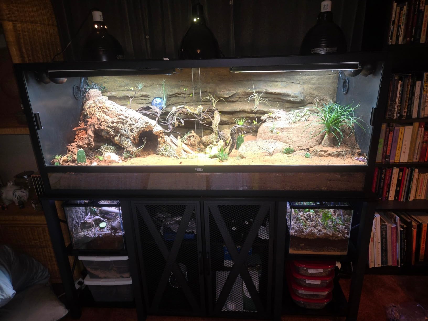 REPTI ZOO Full Glass 15 Gallon Reptile Tank, Medium Reptile Terrarium 24