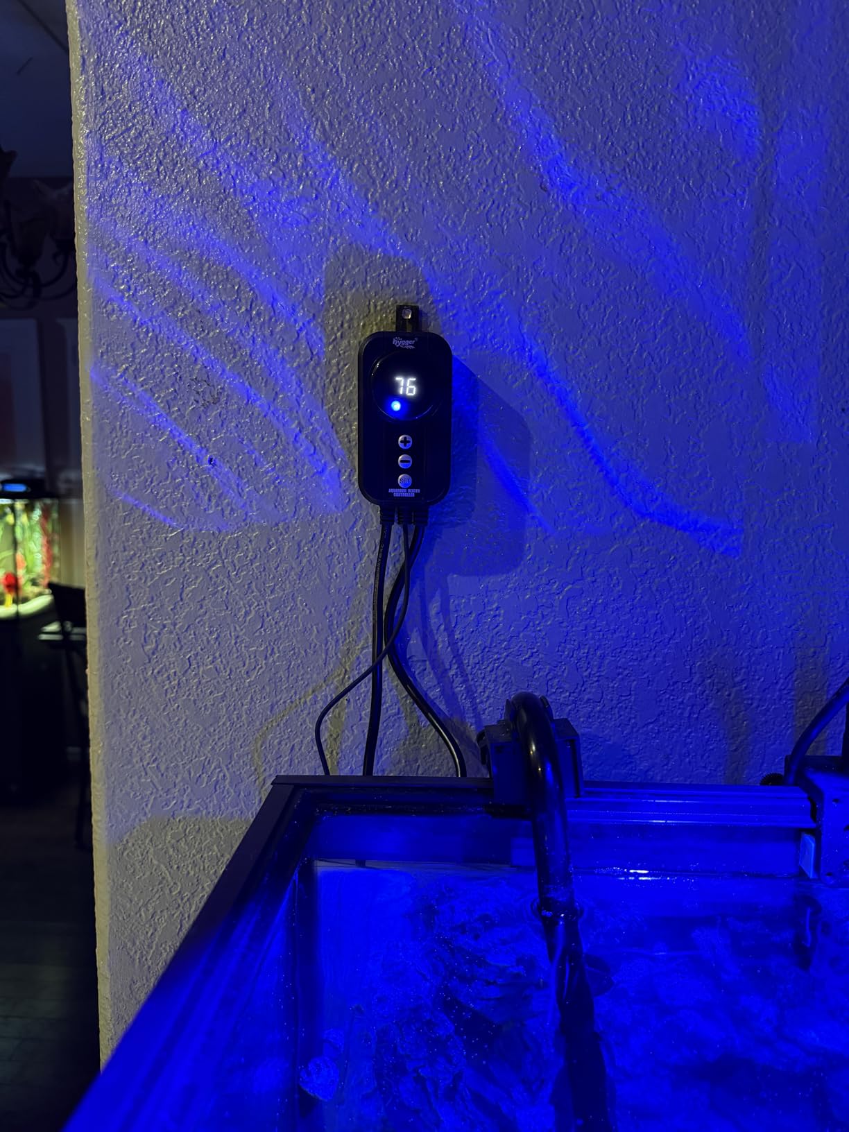 hygger Marine Aquarium Heater 50W 100W 200W 300W 500W, Titanium Heater with Temperature Calibration, Digital LED Controller, Temperature Probe, Submersible Fish Tank Heater for Saltwater Freshwater Tank customer photo 2