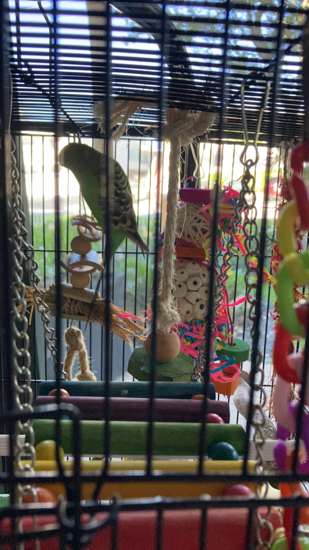 BBjinronjy Bird Toys, 2PCS Hanging Natural Soft Sola Ball Beak Chew Shred Forage Toys for Parrots, Cockatiel, Conure, Love Birds, Parakeets, Budgie and Other Small Birds customer photo 1
