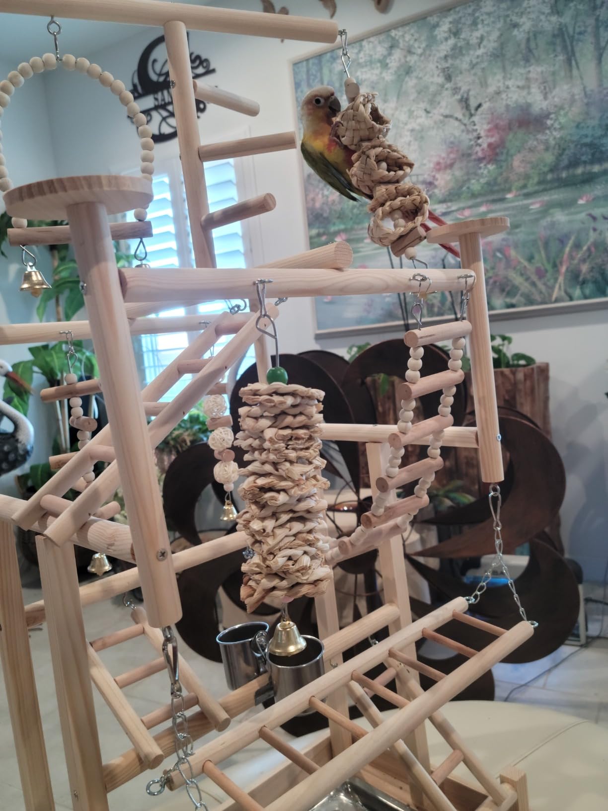 LIMIO Bird Playground - Natural Wood Parrot Playstand with Perches, Bird Play Gym & Accessories, Removable Tray & 4 Stainless Steel Cups customer photo 2